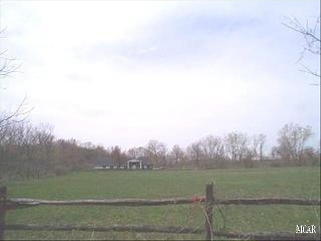 20024353-3.JPG