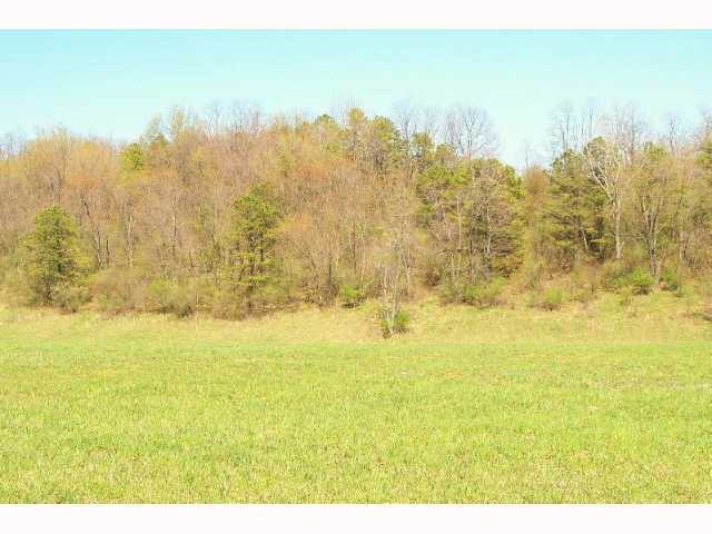 0 Old Piedmont Road, Unit LOT 4 Freeport, OH 43907 - Photo 1 of 4