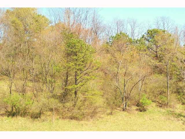 0 Old Piedmont Road, Unit LOT 4 Freeport, OH 43907 - Photo 3 of 4
