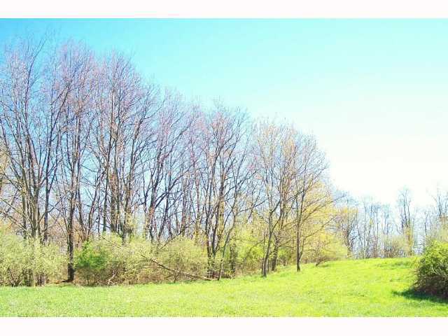 0 Old Piedmont Road, Unit LOT 4 Freeport, OH 43907 - Photo 4 of 4