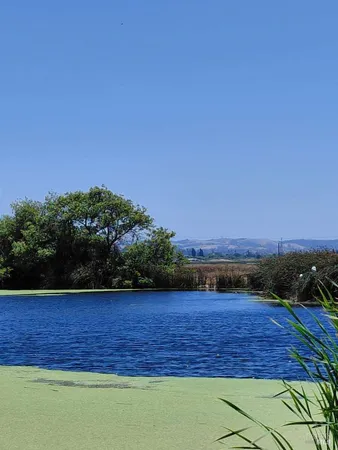 $1,110,000 | 528 Wetlands Edge Road, American Canyon, CA 94503