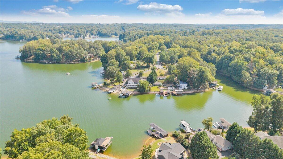 3020 Northridge Road Hardy, VA 24101 - Photo 108 of 118 113-DJI_20260909152811_0181_D