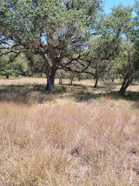 a view of dirt yard with a tree