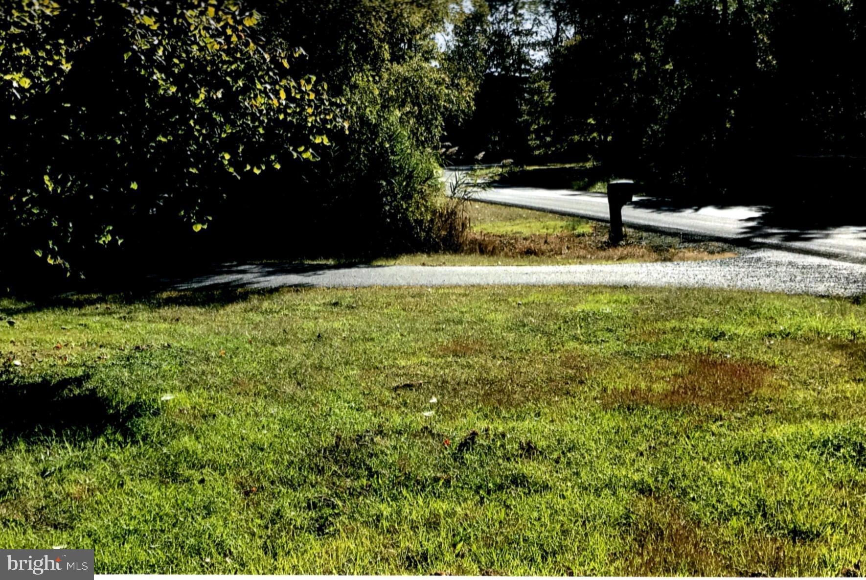 225 Plum Point Road Elkton, MD 21921 - Photo 4 of 17 Driveway