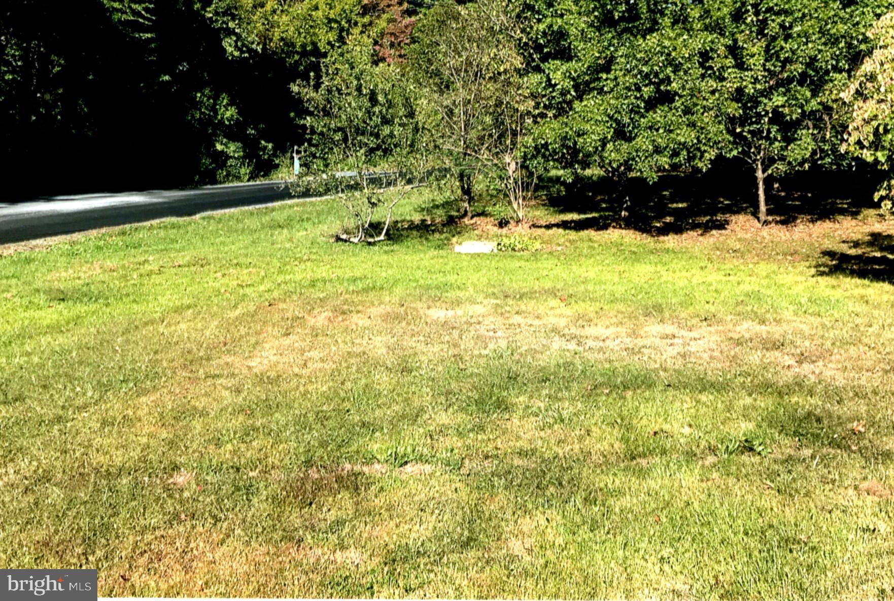 225 Plum Point Road Elkton, MD 21921 - Photo 5 of 17 Yard view
