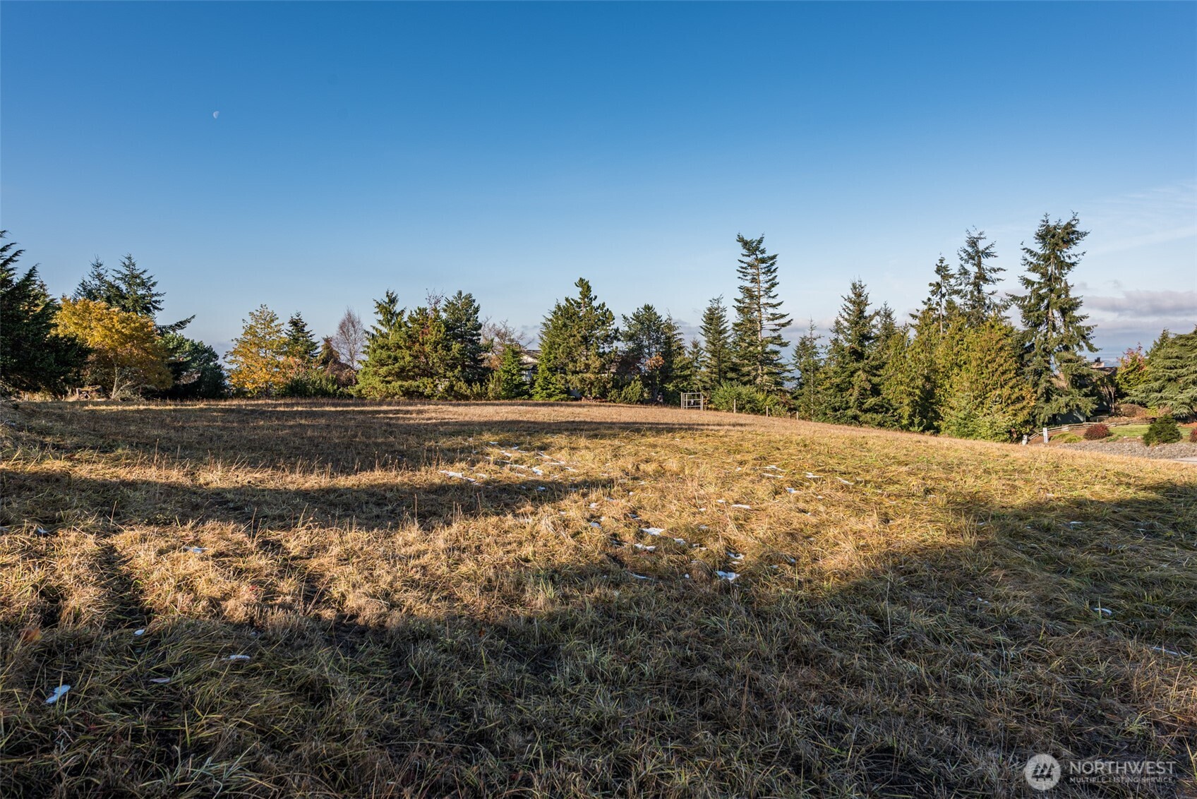 9999 Doe Run Road, Unit LOT 4 Sequim, WA 98382 - Photo 25 of 32 Gallery Image 25