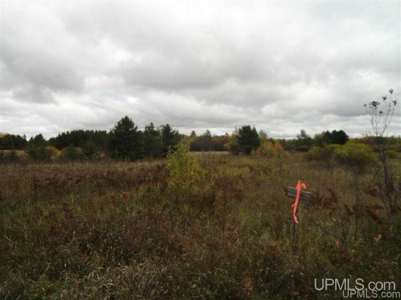 Tbd South County Line Road Watersmeet, MI 49969 - Photo 14 of 16