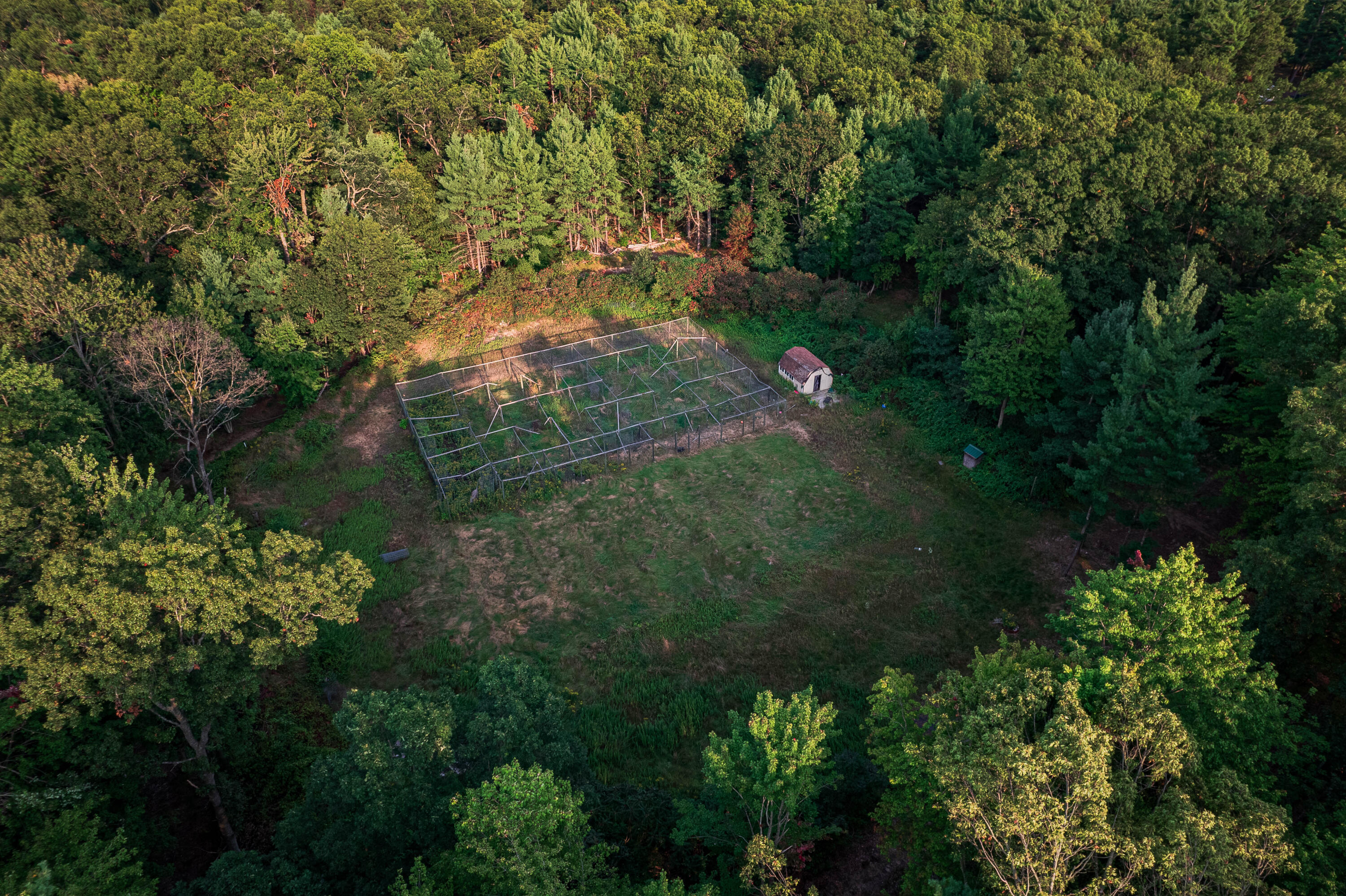 1750 Dame Road Whitehall, MI 49461 - Photo 3 of 43 DJI_0209-HDR