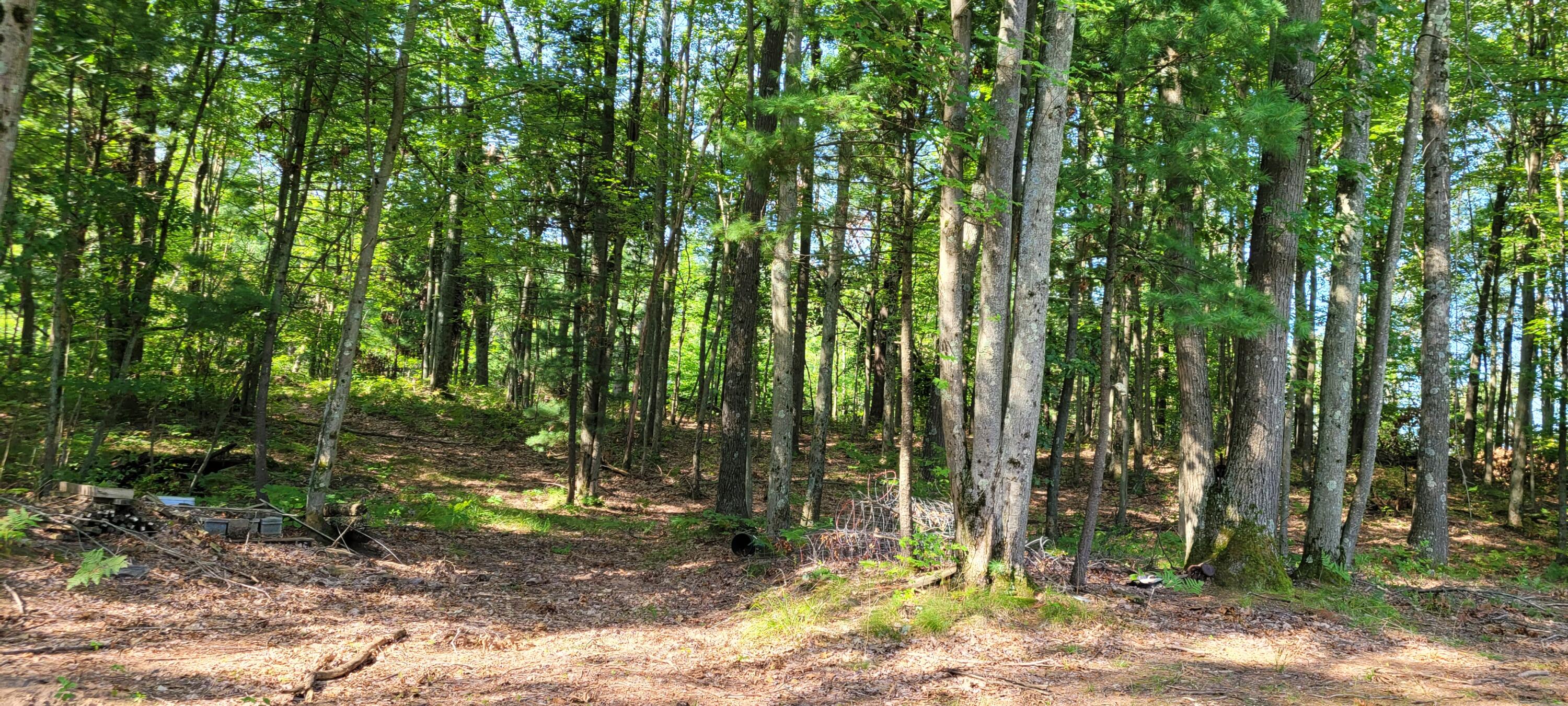 1750 Dame Road Whitehall, MI 49461 - Photo 35 of 43 20240822_105026