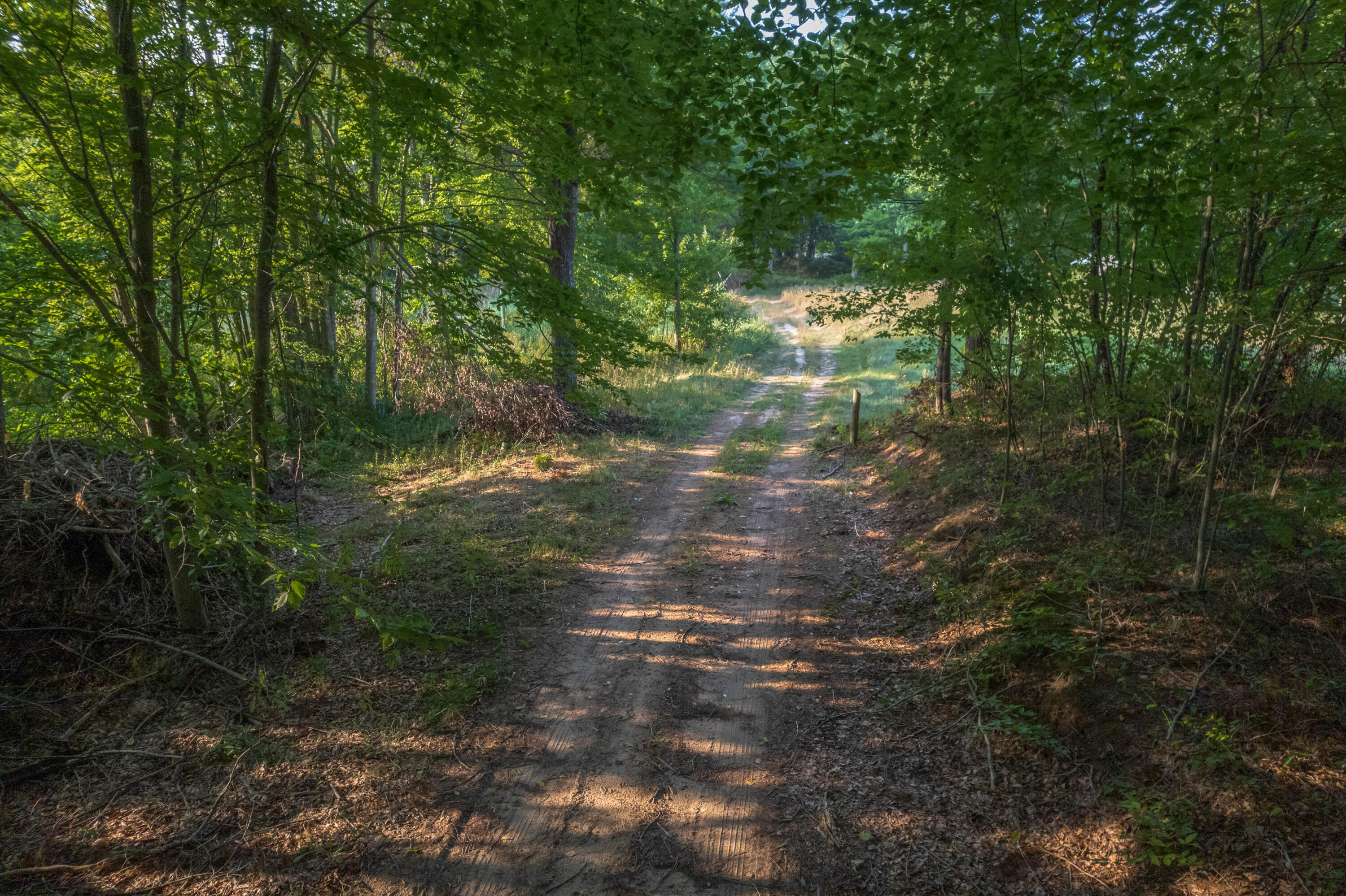 1750 Dame Road Whitehall, MI 49461 - Photo 5 of 43 DJI_0203-HDR