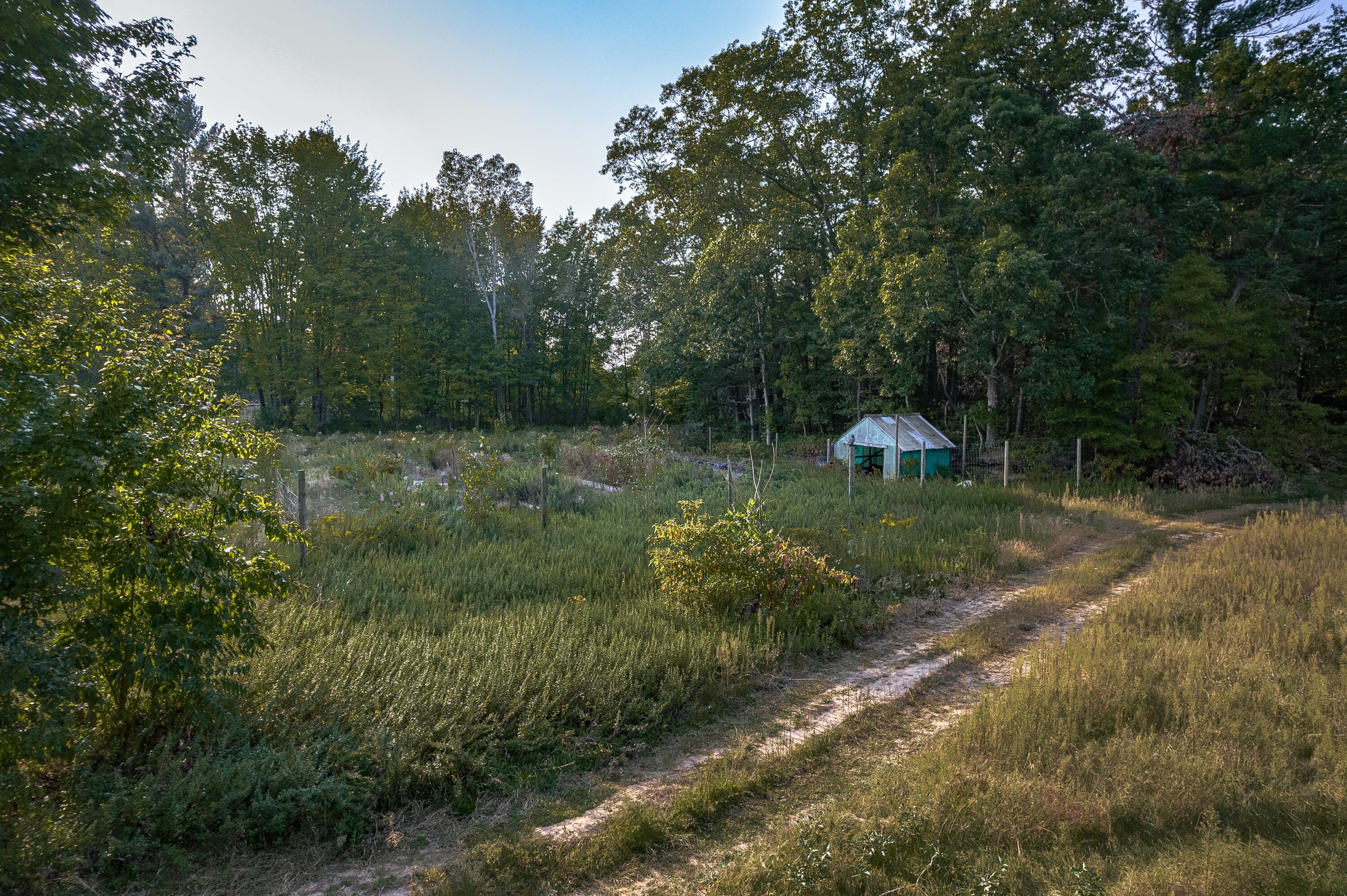 1750 Dame Road Whitehall, MI 49461 - Photo 6 of 43 DJI_0194-HDR