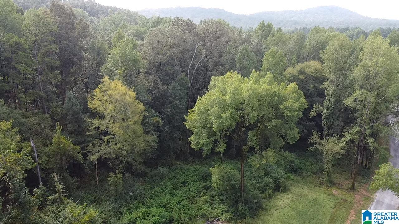 58 Rustic Oaks Drive Sterrett, AL 35147 - Photo 5 of 30