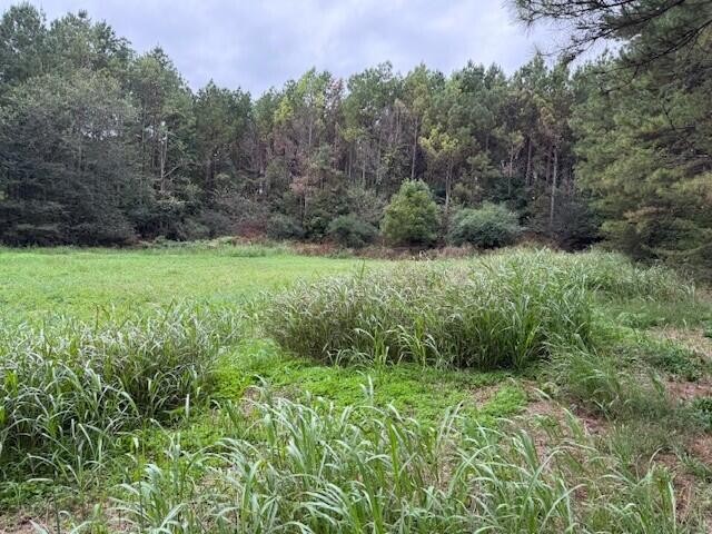 5 Fagin Road Madisonville, TN 37354 - Photo 18 of 33 Gallery Image 18