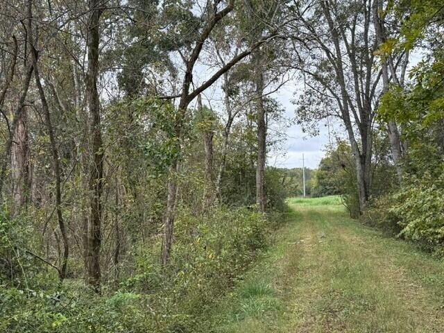 5 Fagin Road Madisonville, TN 37354 - Photo 24 of 33 Gallery Image 24