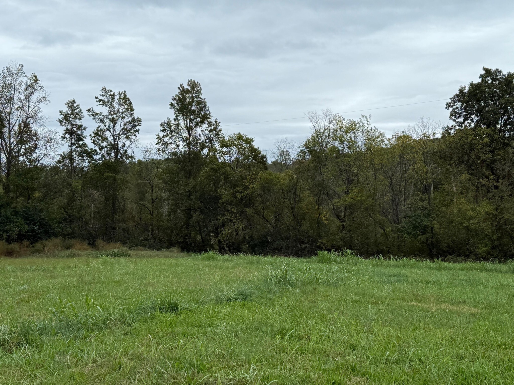 5 Fagin Road Madisonville, TN 37354 - Photo 3 of 33 Gallery Image 3