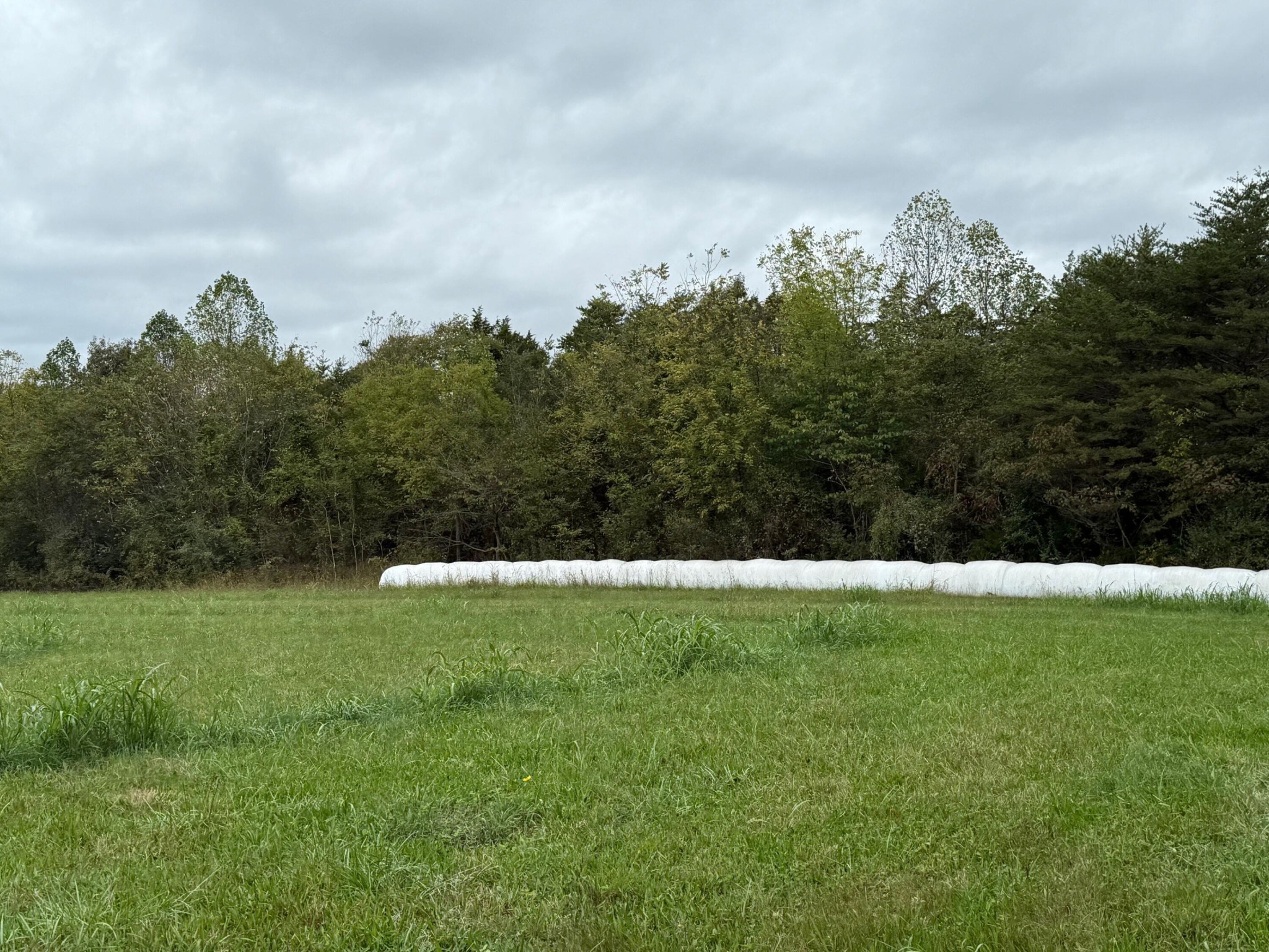 5 Fagin Road Madisonville, TN 37354 - Photo 10 of 33 Gallery Image 10