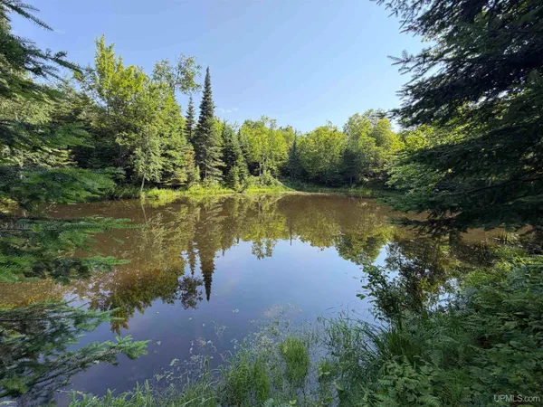 $60,000 | 14598 Arnheim Road, Pelkie, MI 49958