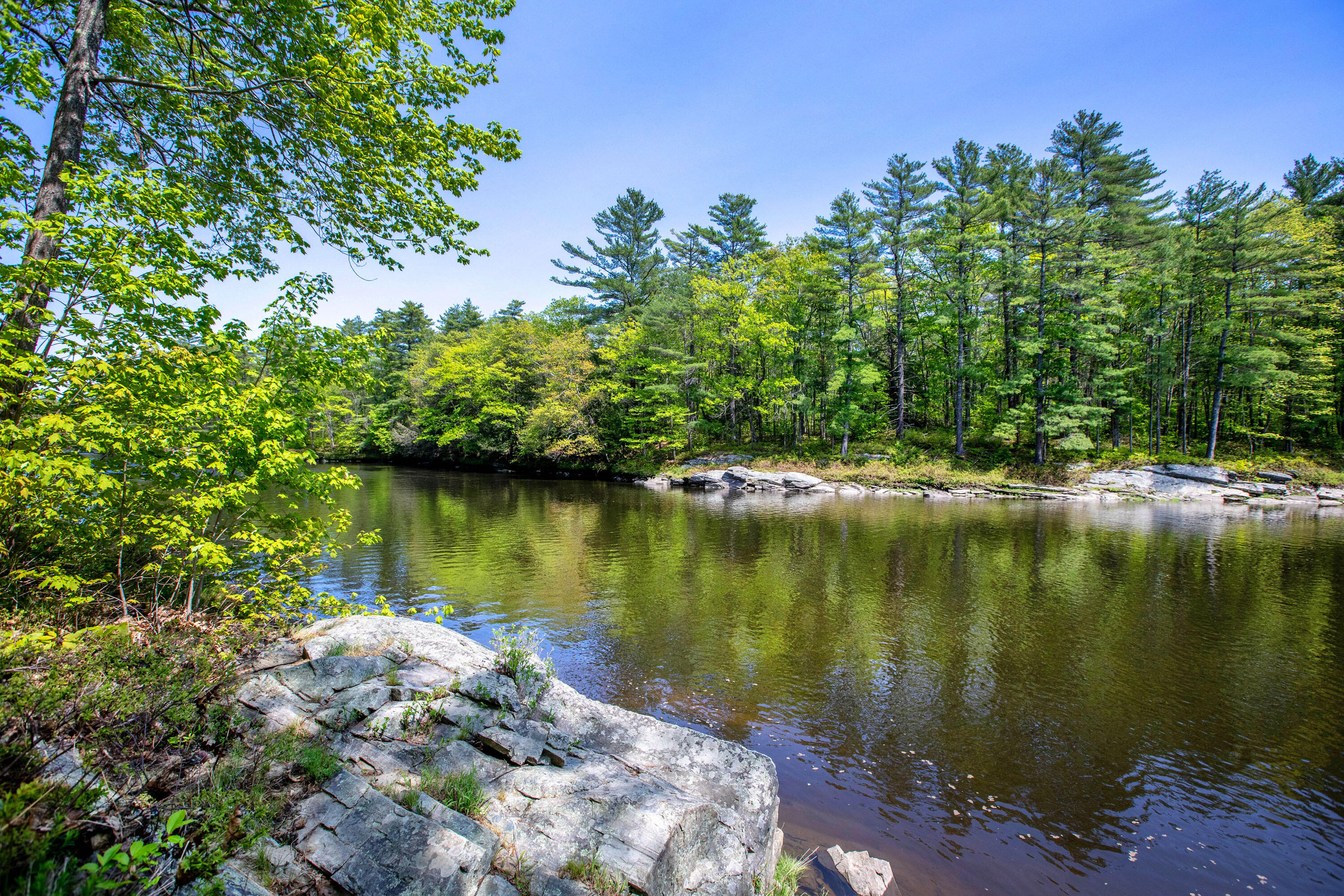 5 Twin Pond Road Topsham, ME 04086 - Photo 67 of 76 Twin Pond_Singer Domingos_82