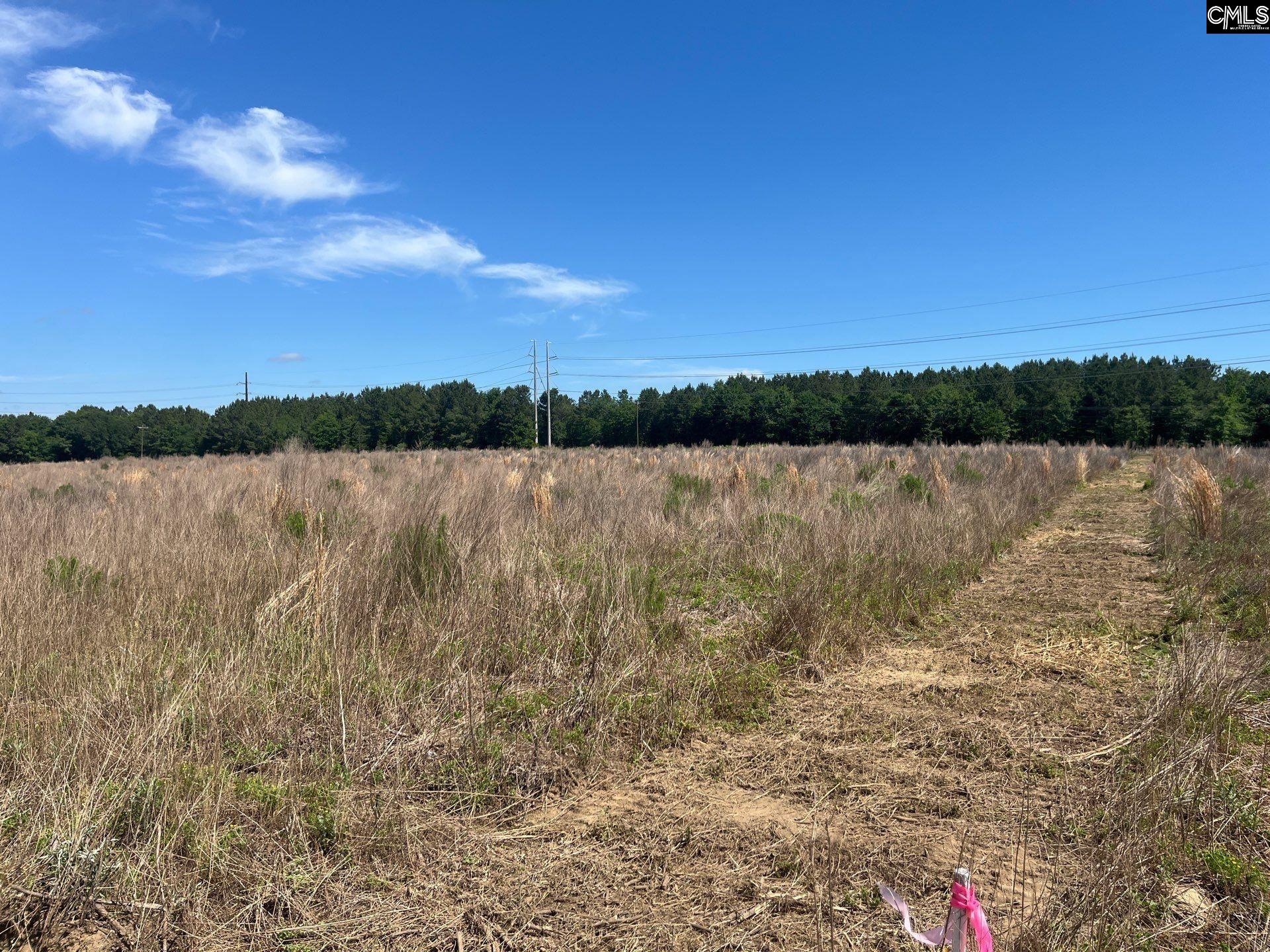 3 Salley Road Salley, SC 29137 - Photo 10 of 15 Gallery Image 10