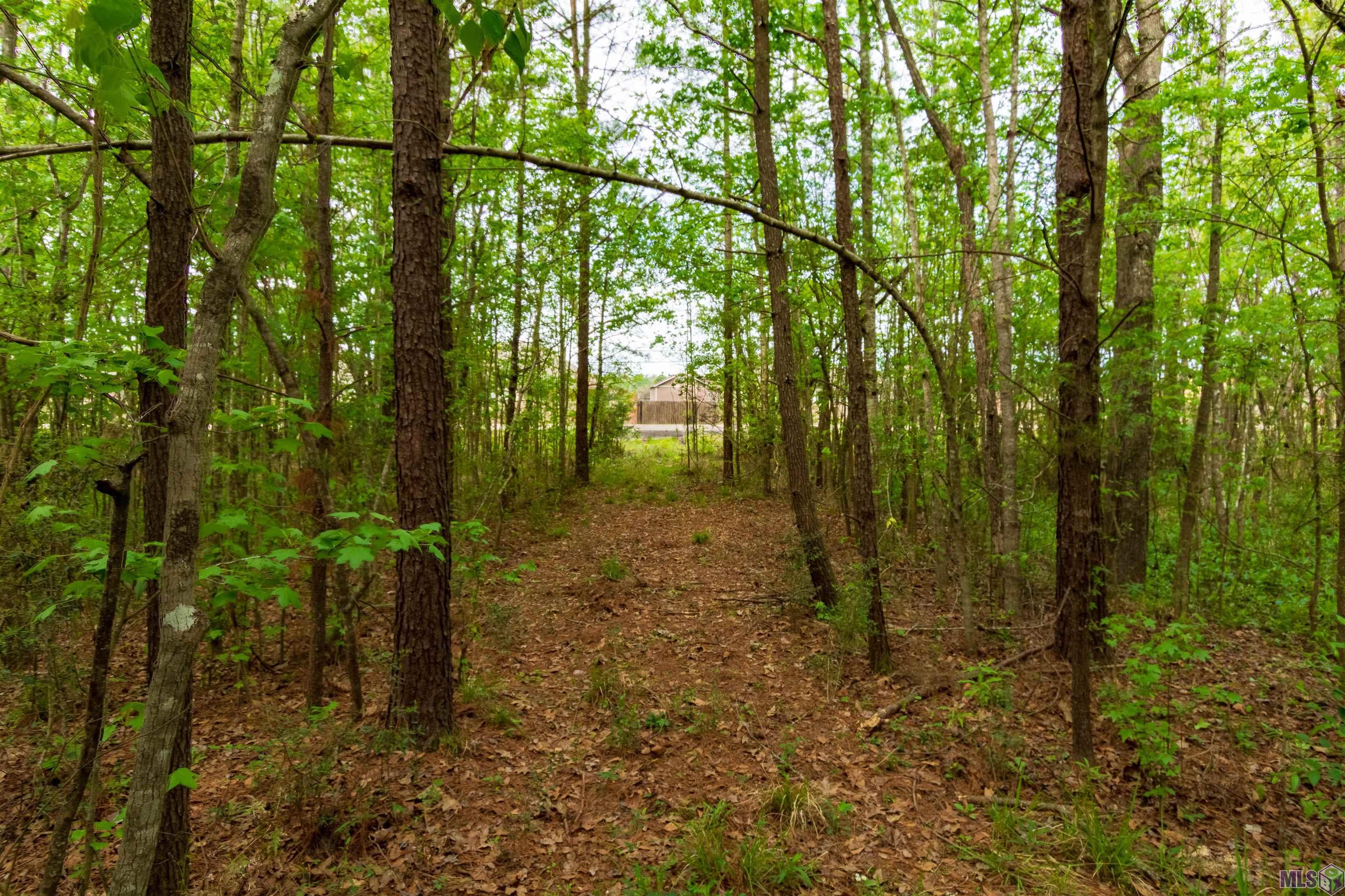 Tract I North Corbin Road Walker, LA 70785 - Photo 2 of 6 Gallery Image 2