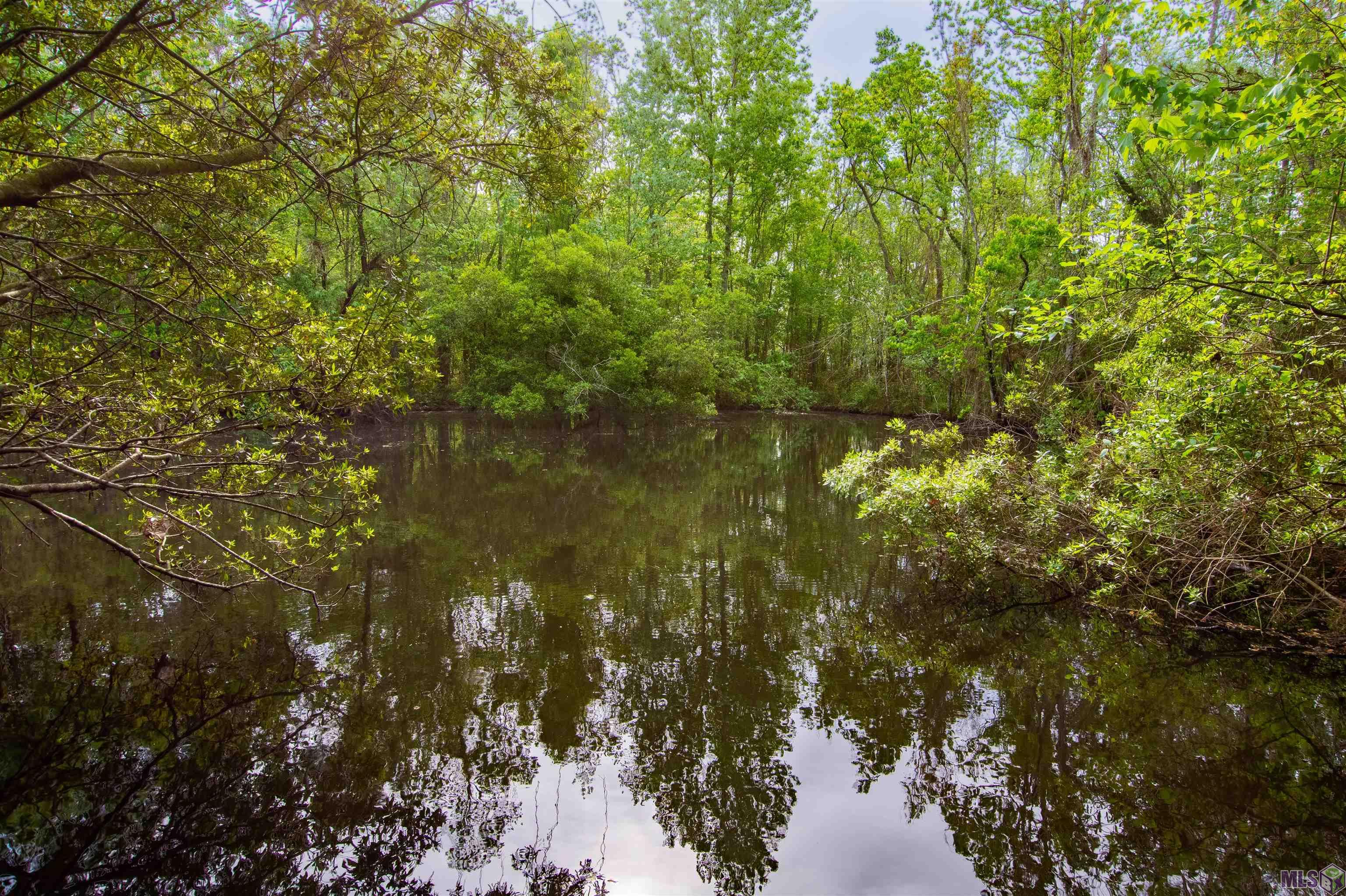 Tract I North Corbin Road Walker, LA 70785 - Photo 3 of 6 Gallery Image 3