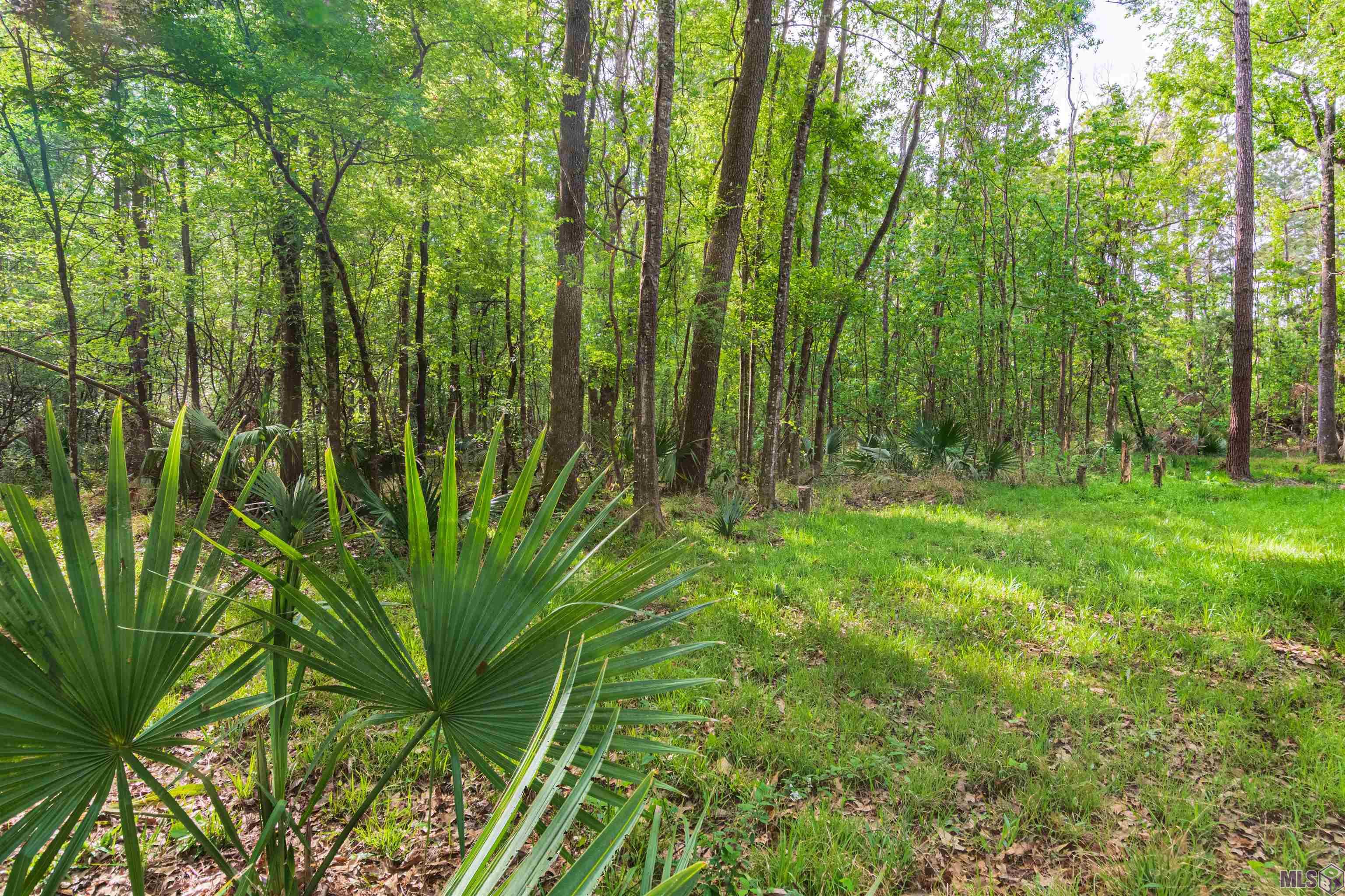 Tract I North Corbin Road Walker, LA 70785 - Photo 4 of 6 Gallery Image 4