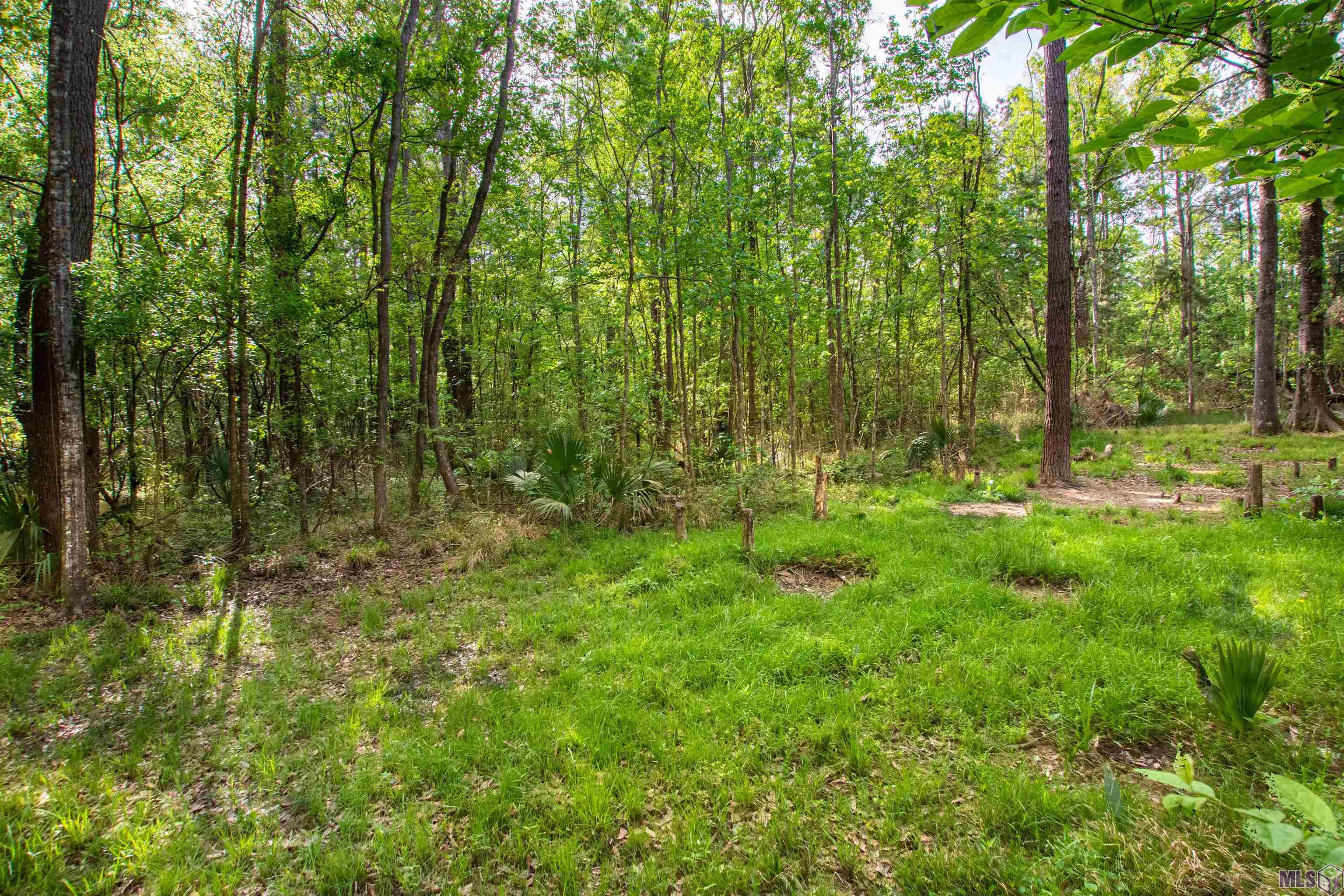 Tract I North Corbin Road Walker, LA 70785 - Photo 5 of 6 Gallery Image 5