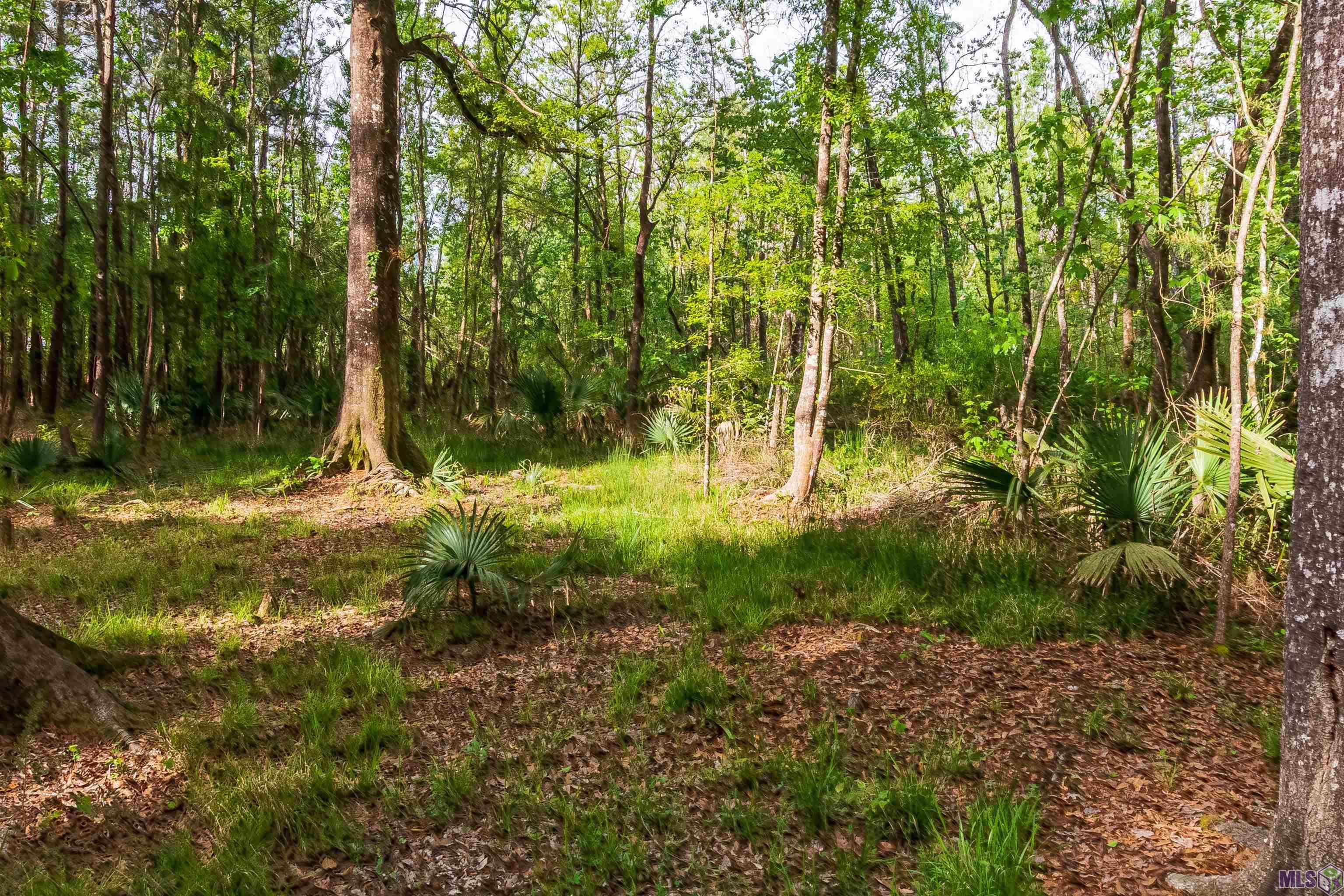 Tract I North Corbin Road Walker, LA 70785 - Photo 6 of 6 Gallery Image 6