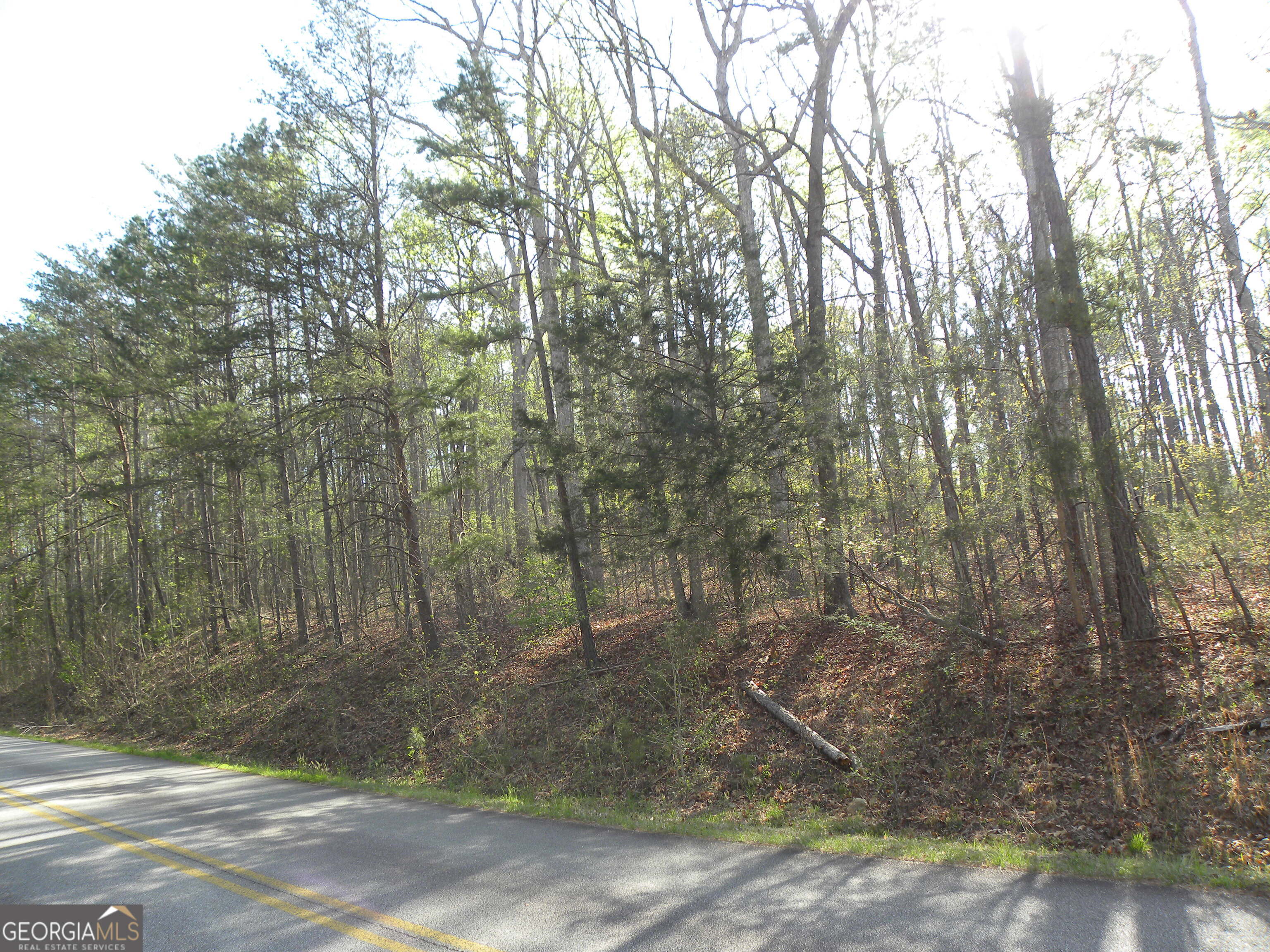 1323 Seven Forks Road Martin, GA 30557 - Photo 1 of 33