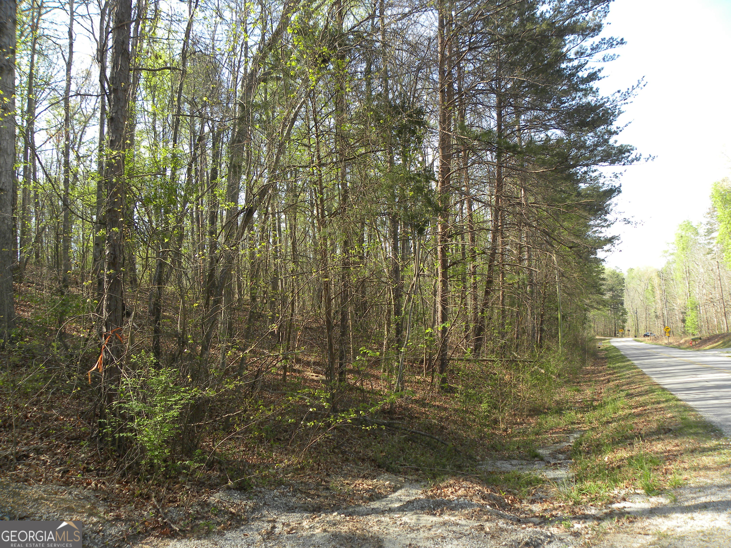 1323 Seven Forks Road Martin, GA 30557 - Photo 11 of 33
