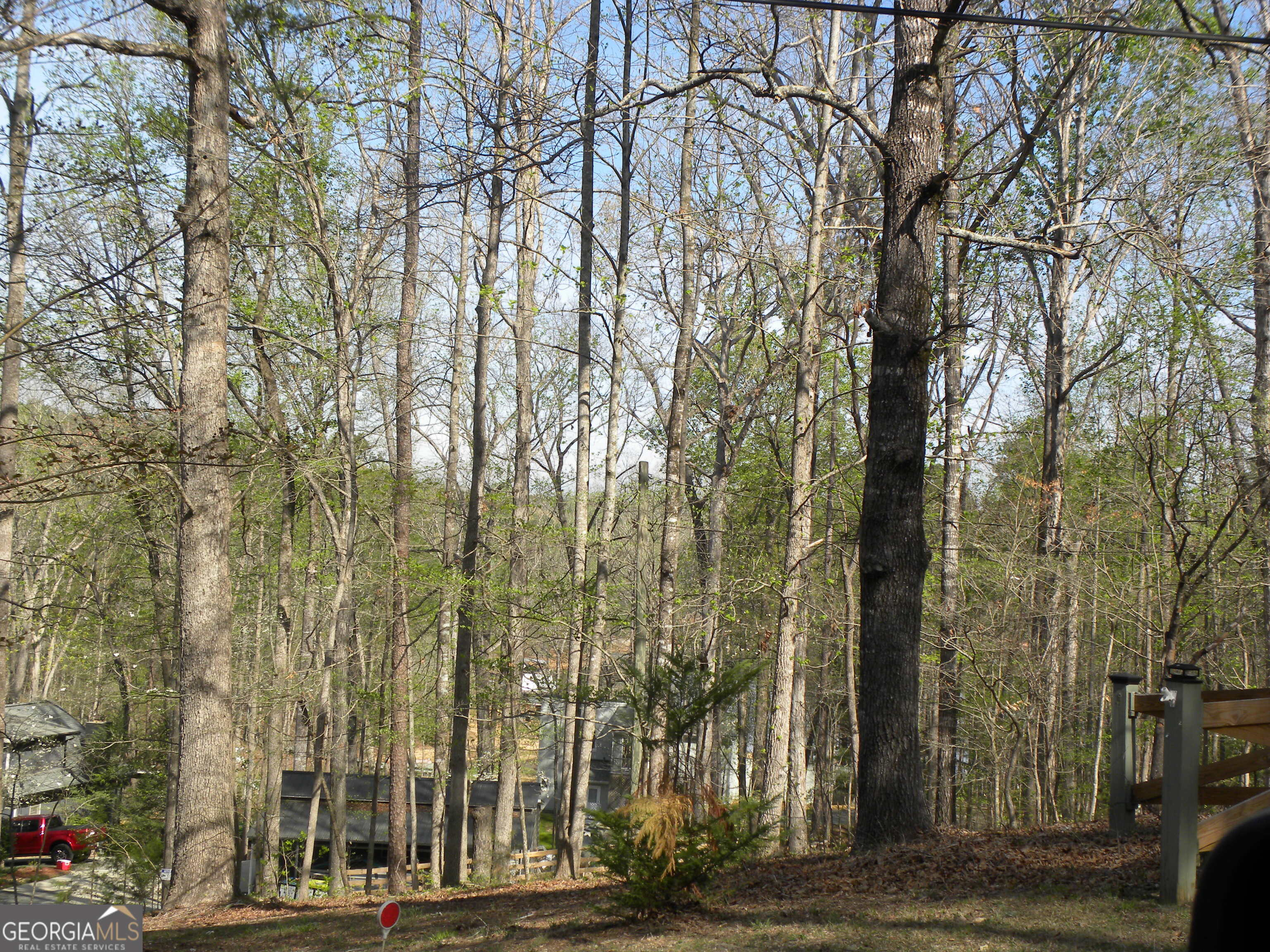 1323 Seven Forks Road Martin, GA 30557 - Photo 12 of 33