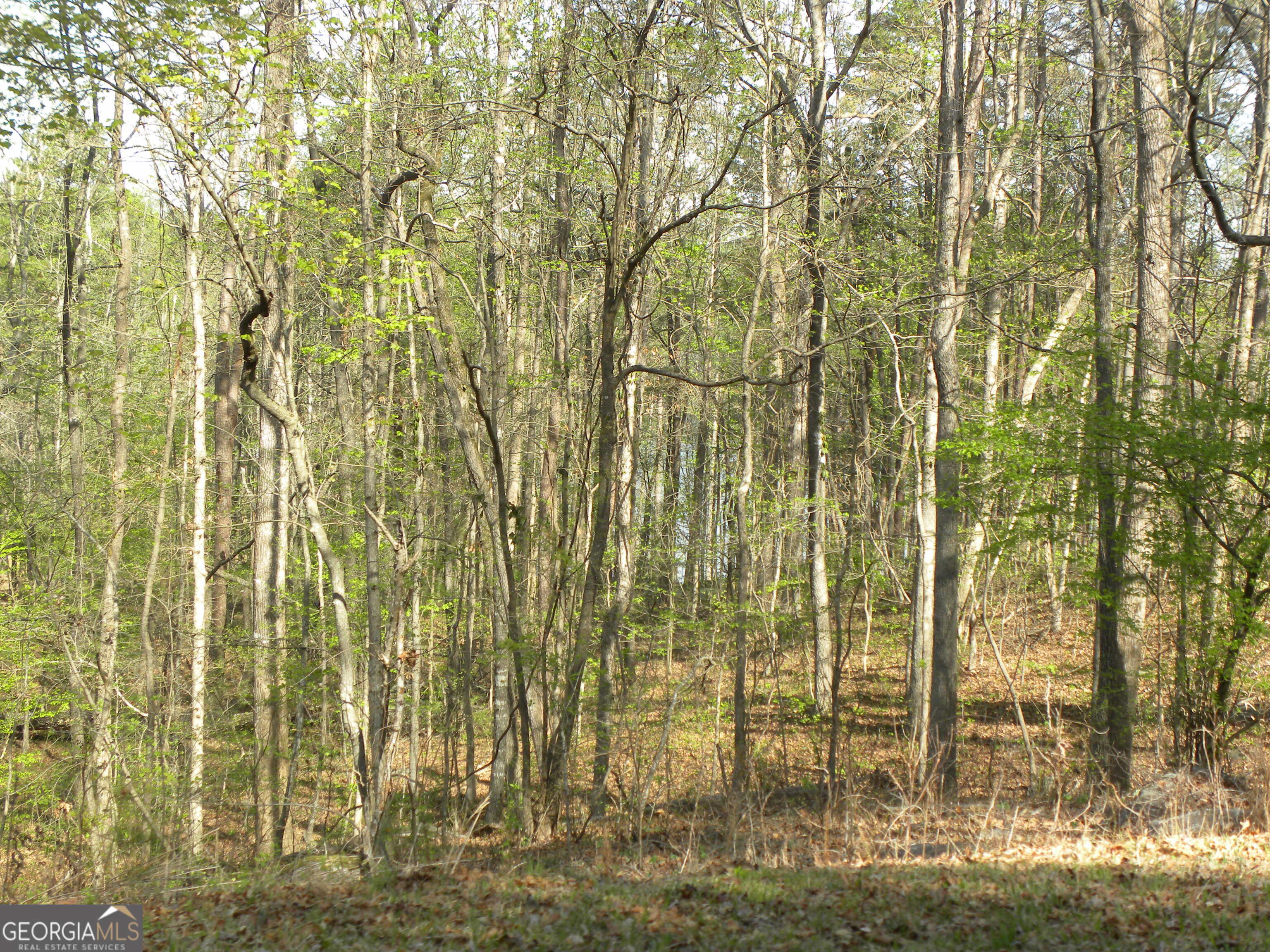 1323 Seven Forks Road Martin, GA 30557 - Photo 14 of 33