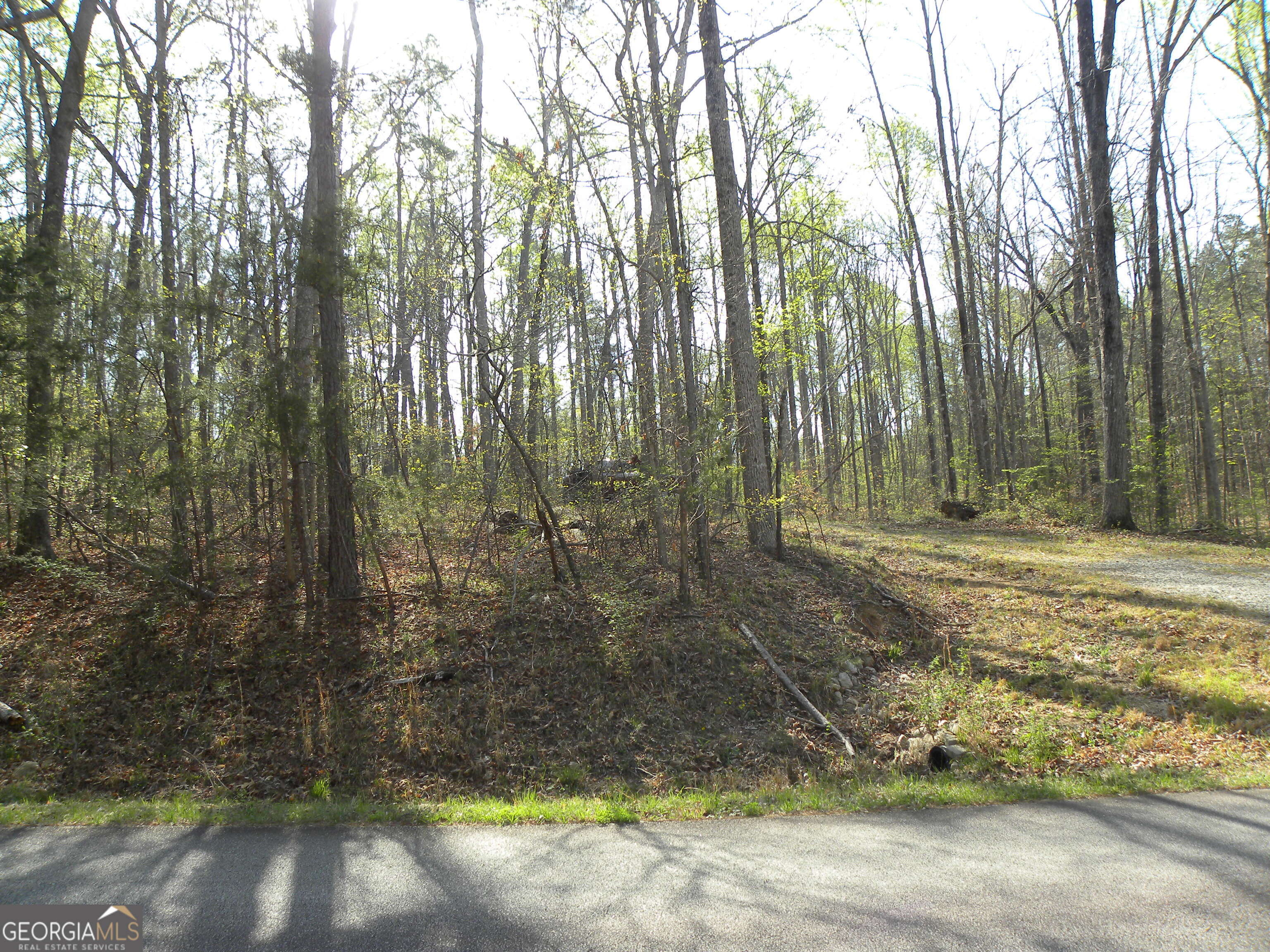 1323 Seven Forks Road Martin, GA 30557 - Photo 2 of 33