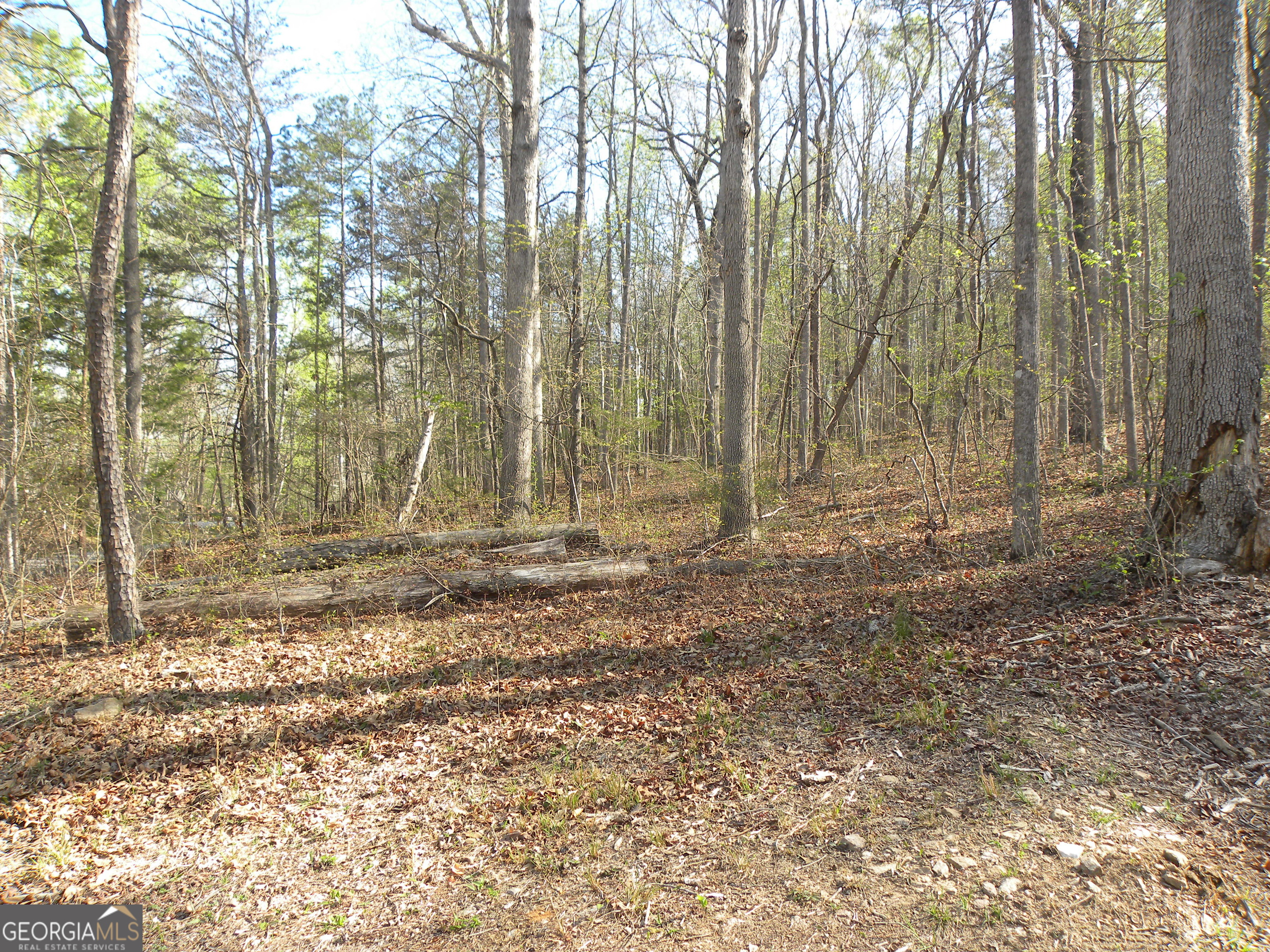 1323 Seven Forks Road Martin, GA 30557 - Photo 22 of 33