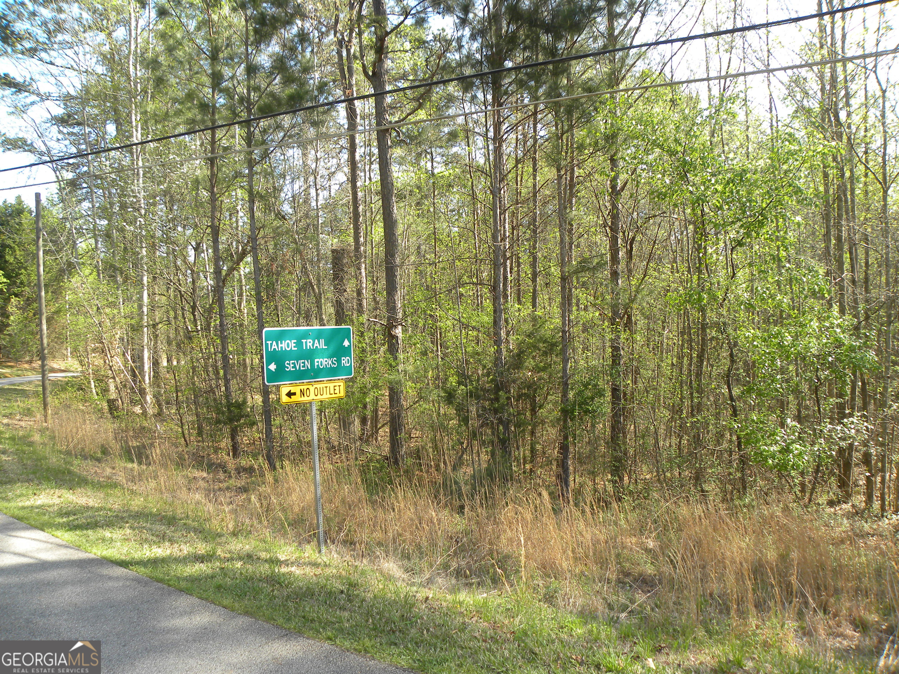 1323 Seven Forks Road Martin, GA 30557 - Photo 23 of 33