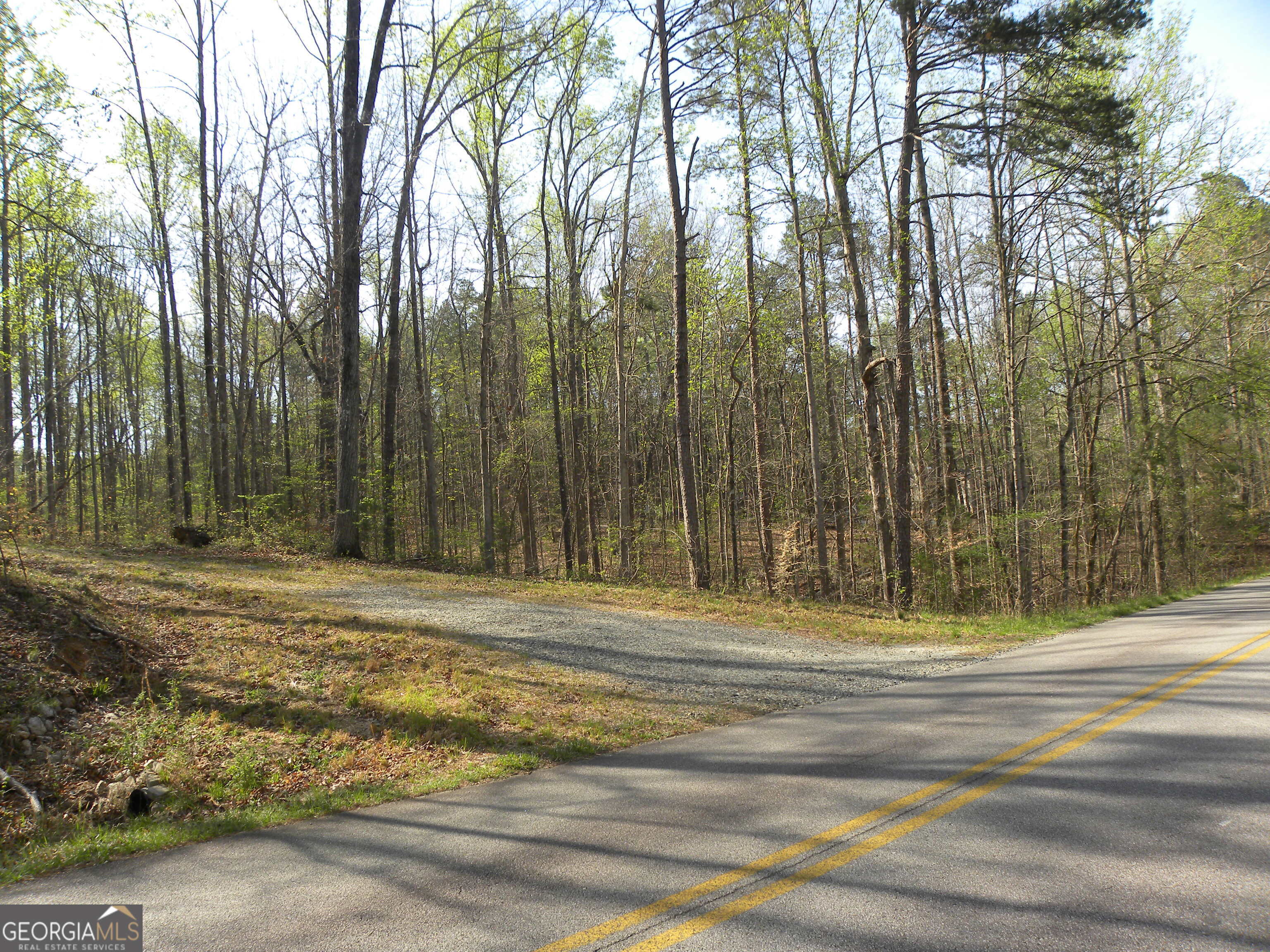 1323 Seven Forks Road Martin, GA 30557 - Photo 3 of 33