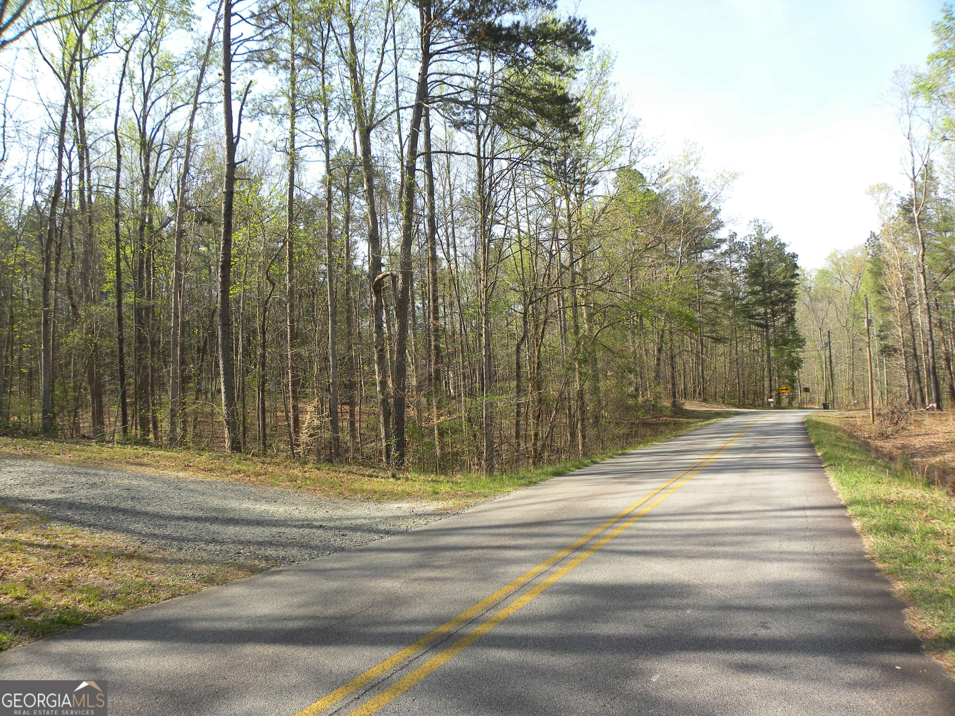 1323 Seven Forks Road Martin, GA 30557 - Photo 4 of 33