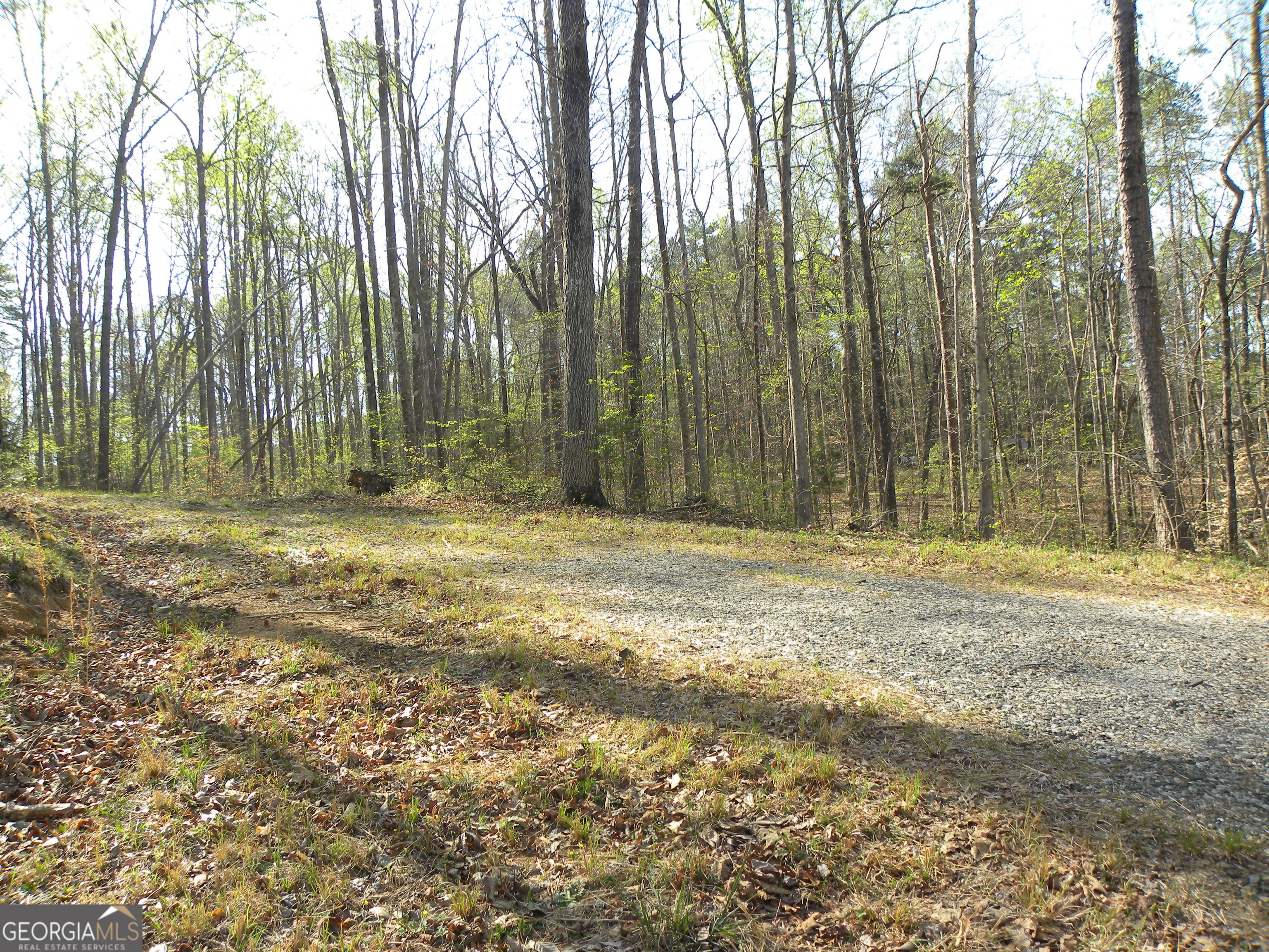 1323 Seven Forks Road Martin, GA 30557 - Photo 8 of 33