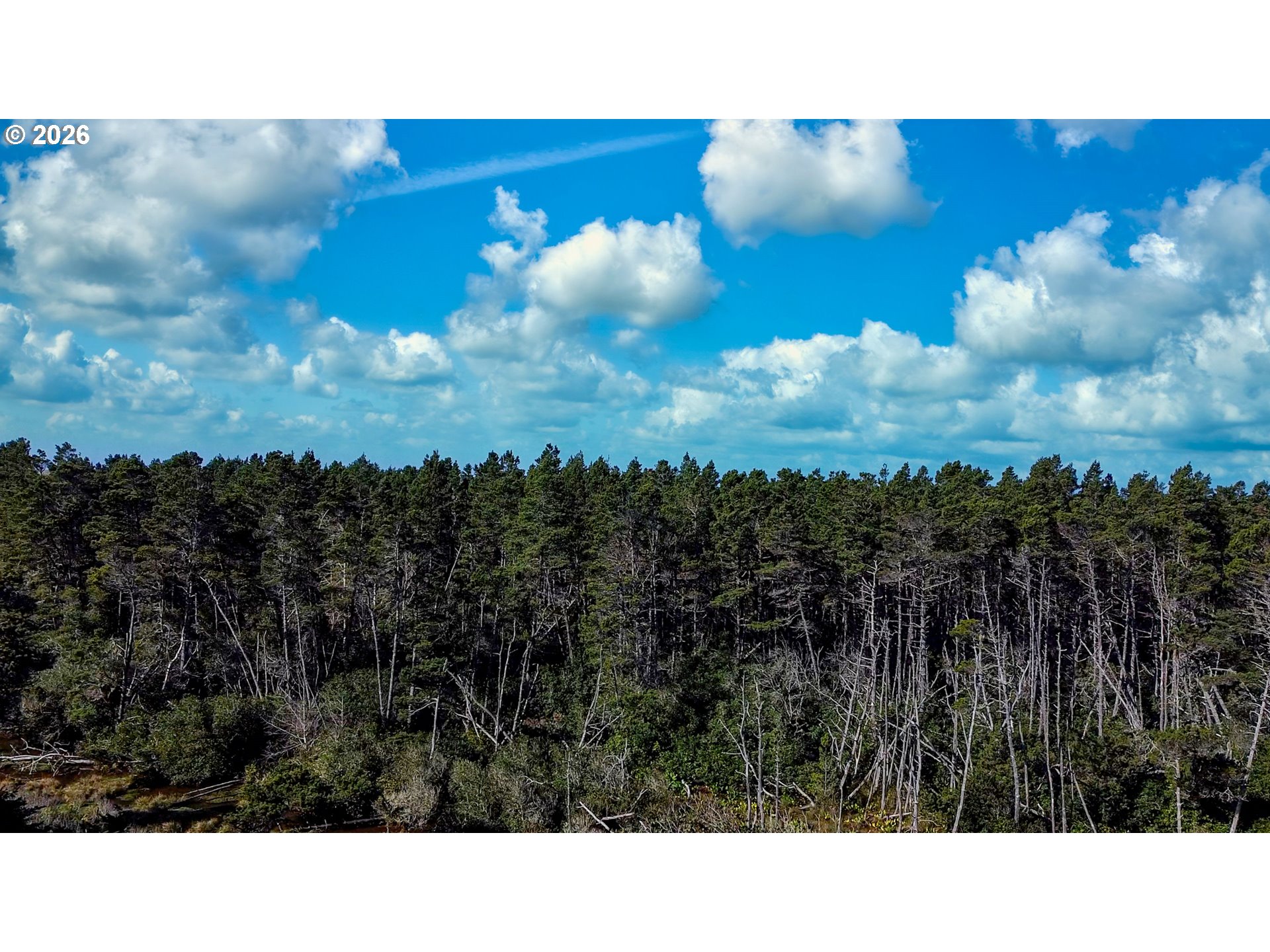 87784 Terrace View Drive Florence, OR 97439 - Photo 30 of 39 View