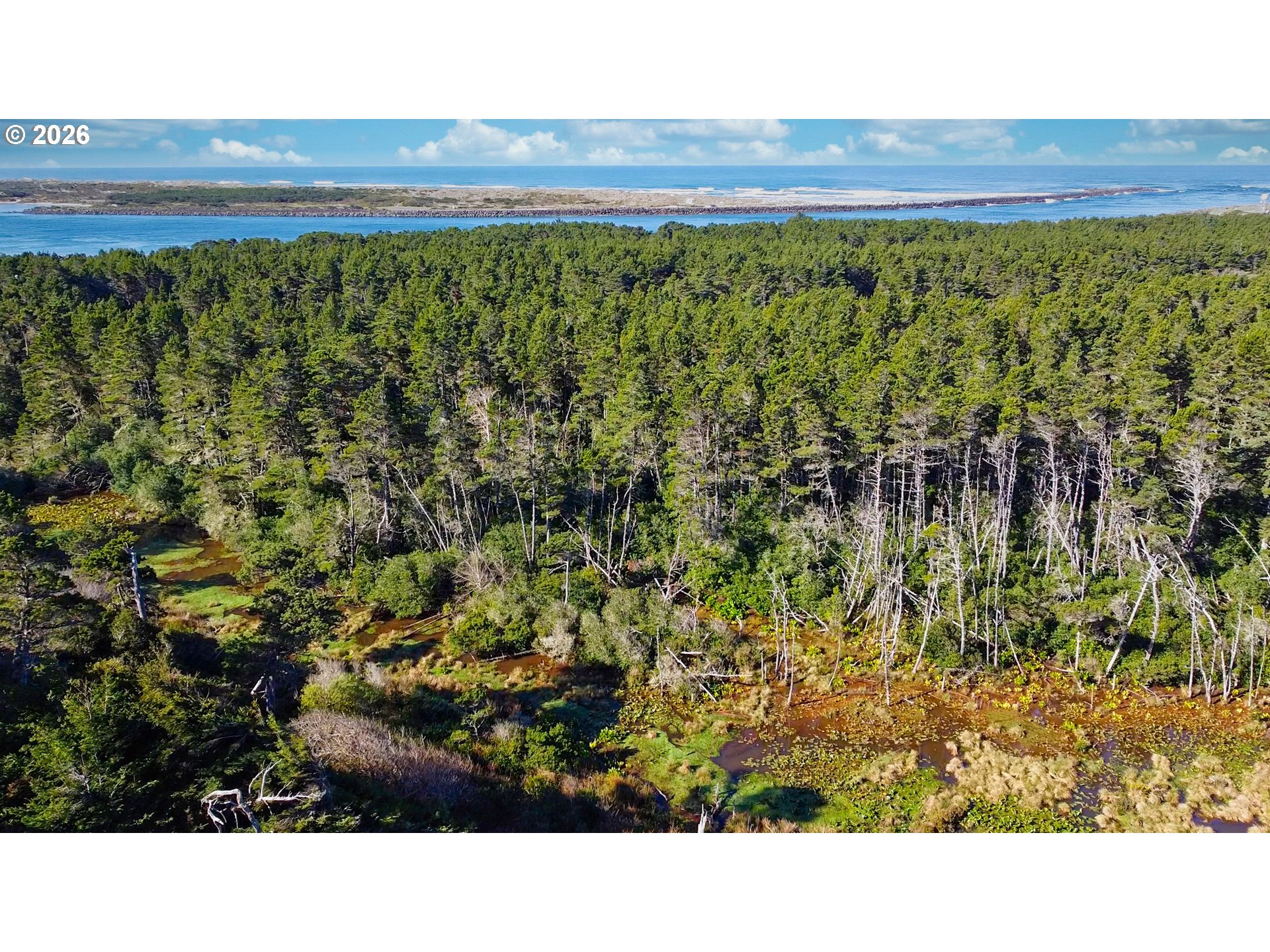 87784 Terrace View Drive Florence, OR 97439 - Photo 33 of 39 Bathroom