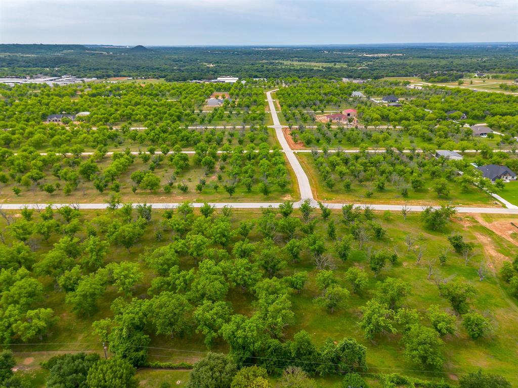1000 West Landings Road North Granbury, TX 76049 - Photo 8 of 20