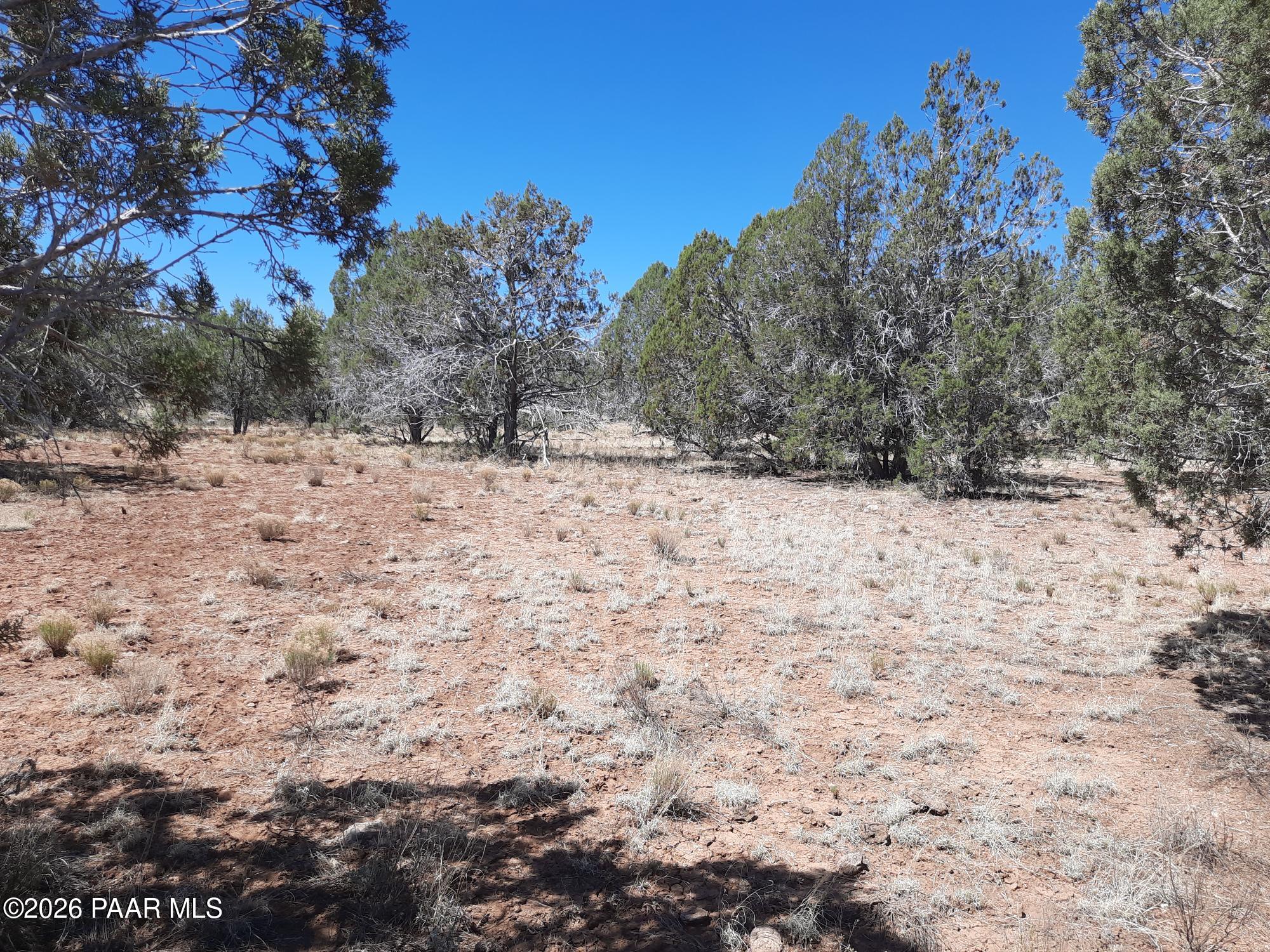 3 J Off Duffy Road Seligman, AZ 86337 - Photo 11 of 12 20220612_101707