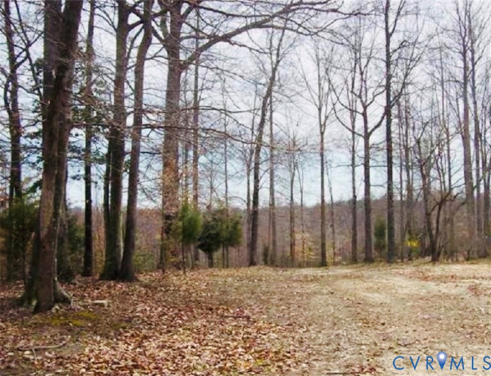 11250 New Town Road New Kent, VA 23124 - Photo 3 of 6