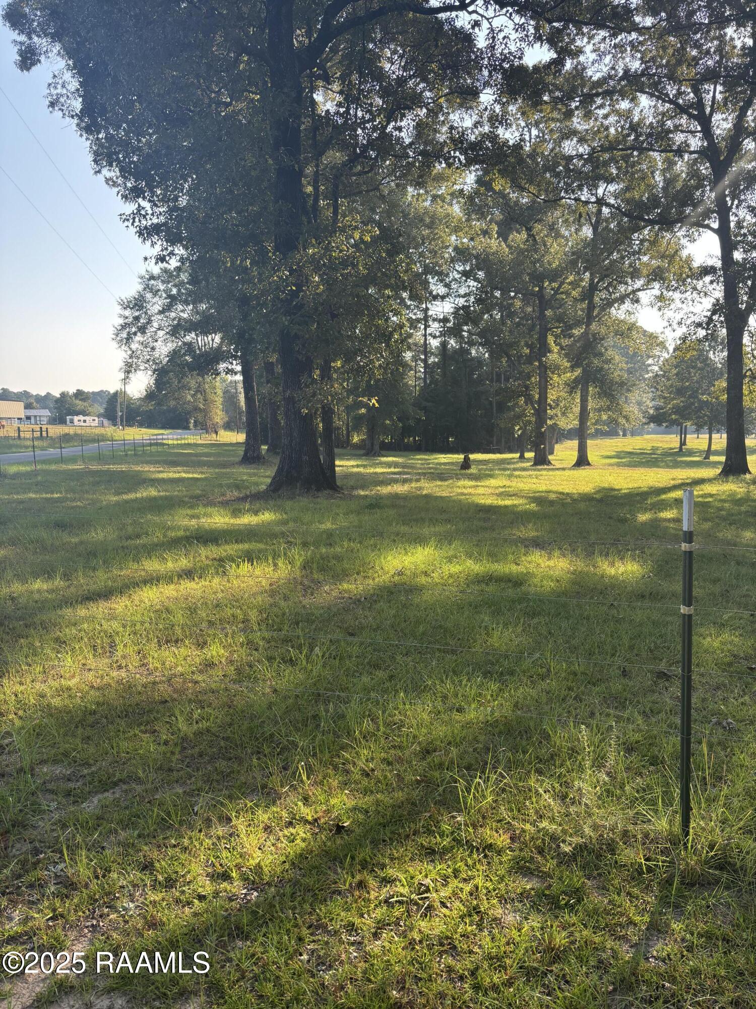 399 Ahtus Melder Road Forest Hill, LA 71430 - Photo 14 of 19