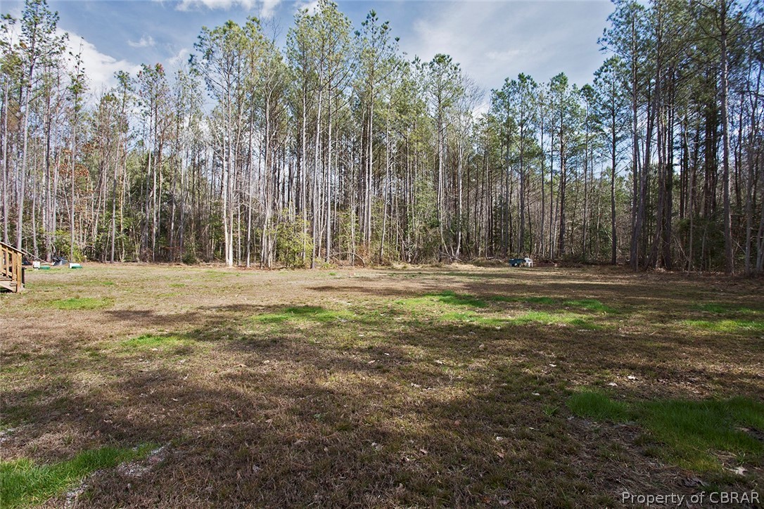 1496 Elsom Mascot Road Mattaponi, VA 23110 - Photo 33 of 33 a backyard of water with trees