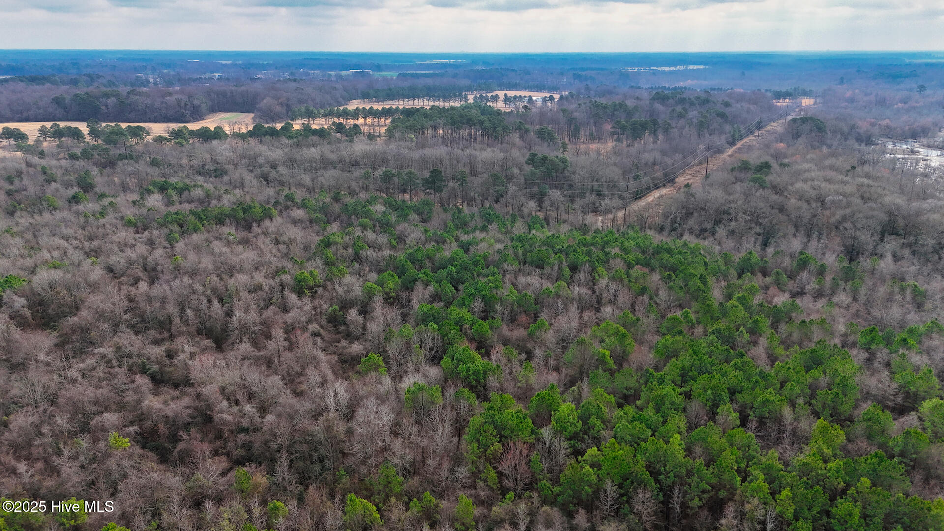 0 East Darden Road Faison, NC 28341 - Photo 13 of 25 31265_Image_13