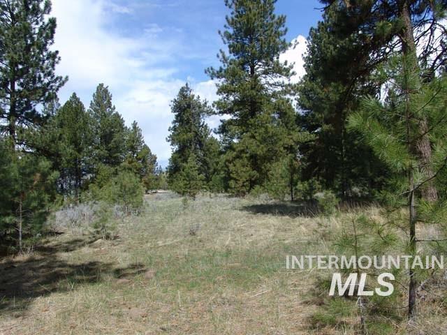 1483 Pine Lakes Ranch Drive Cascade, ID 83611 - Photo 6 of 20