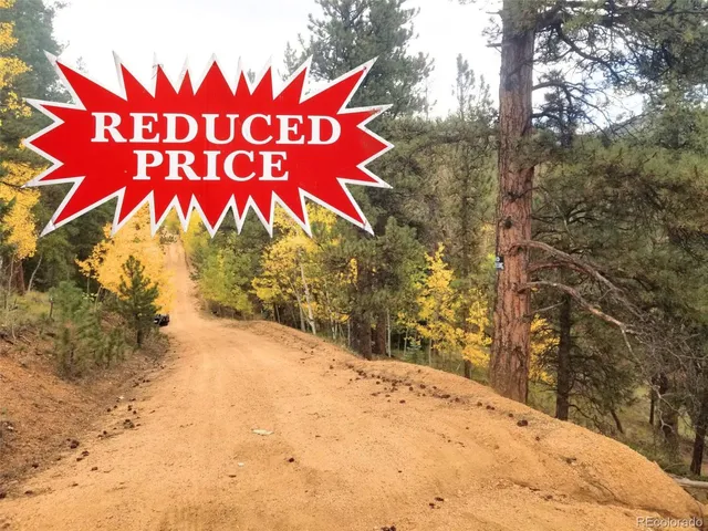 $65,000 | 342 Brown Road, Bailey, CO 80421