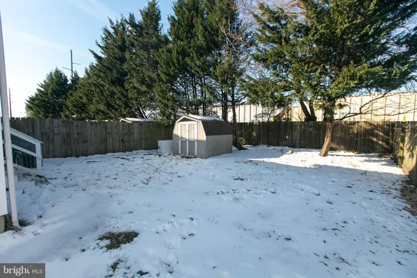 a view of backyard with wooden fence and large trees