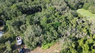 Little Ranch Spring Hill Spring Hill, FL 34610 - Photo 2 of 10 a view of a house with a tree